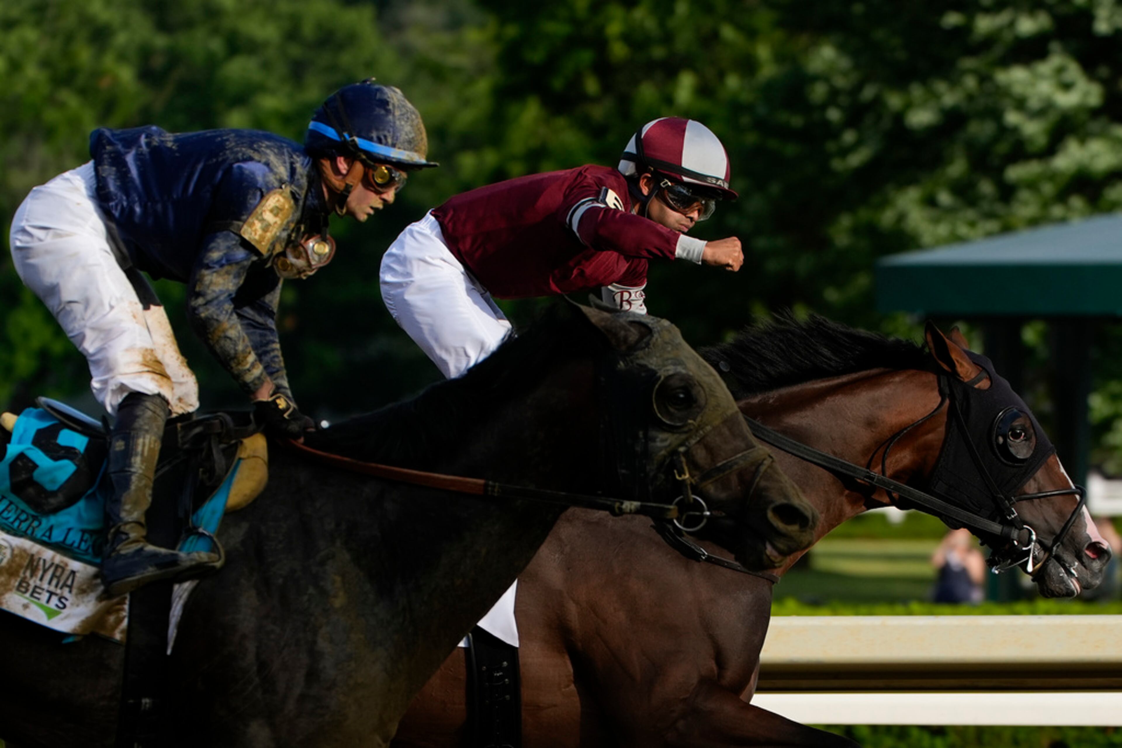 Luis Saez reacts after winning the 156th running of the Belmont Stakes horse race aboard Dornoch (6), Saturday, June 8, 2024, in Saratoga Springs, N.Y. (AP Photo/Julia Nikhinson)