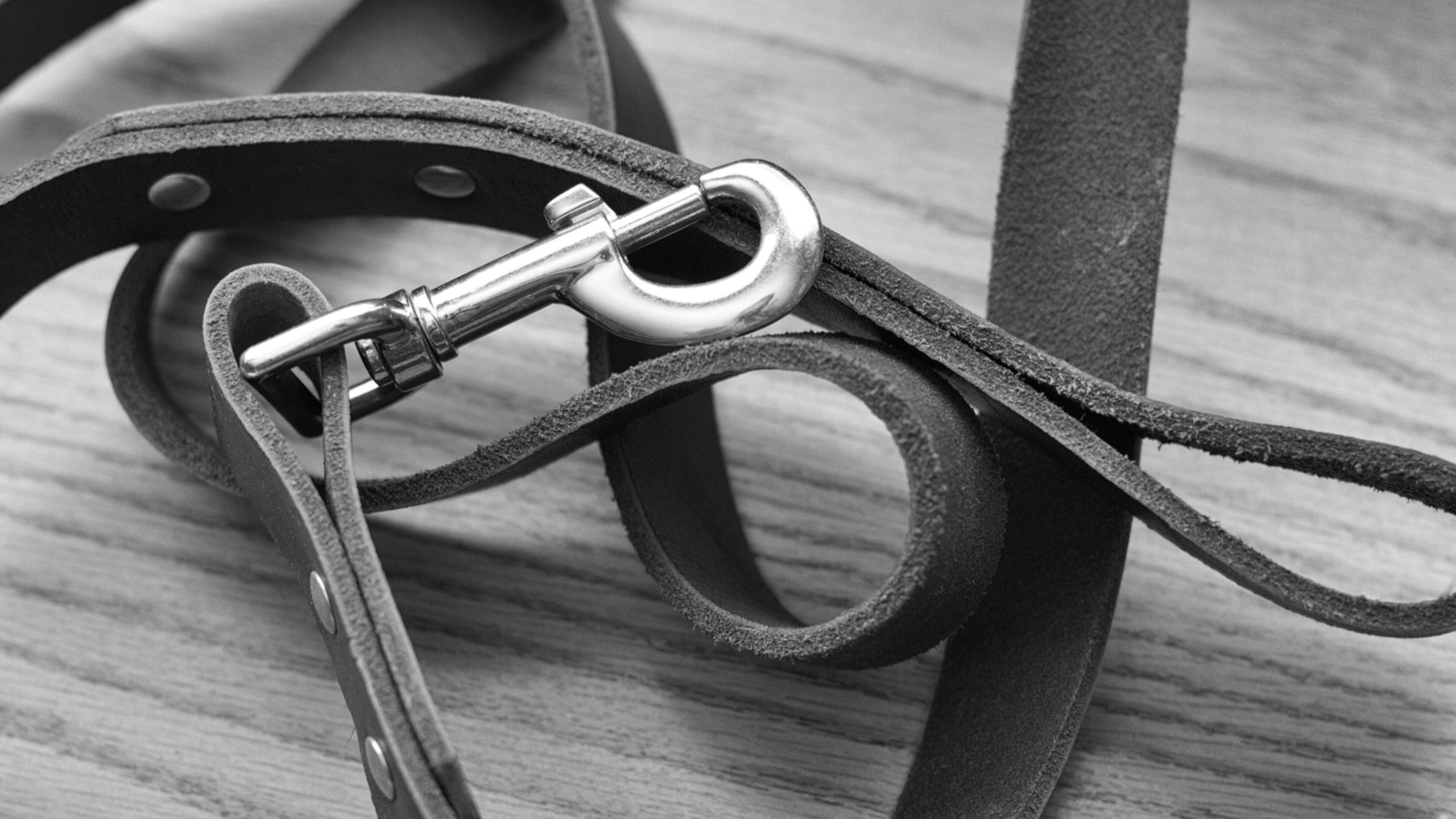 Dog leash. (Photo: Alan Levine/flickr/Creative Commons) https://creativecommons.org/publicdomain/zero/1.0/