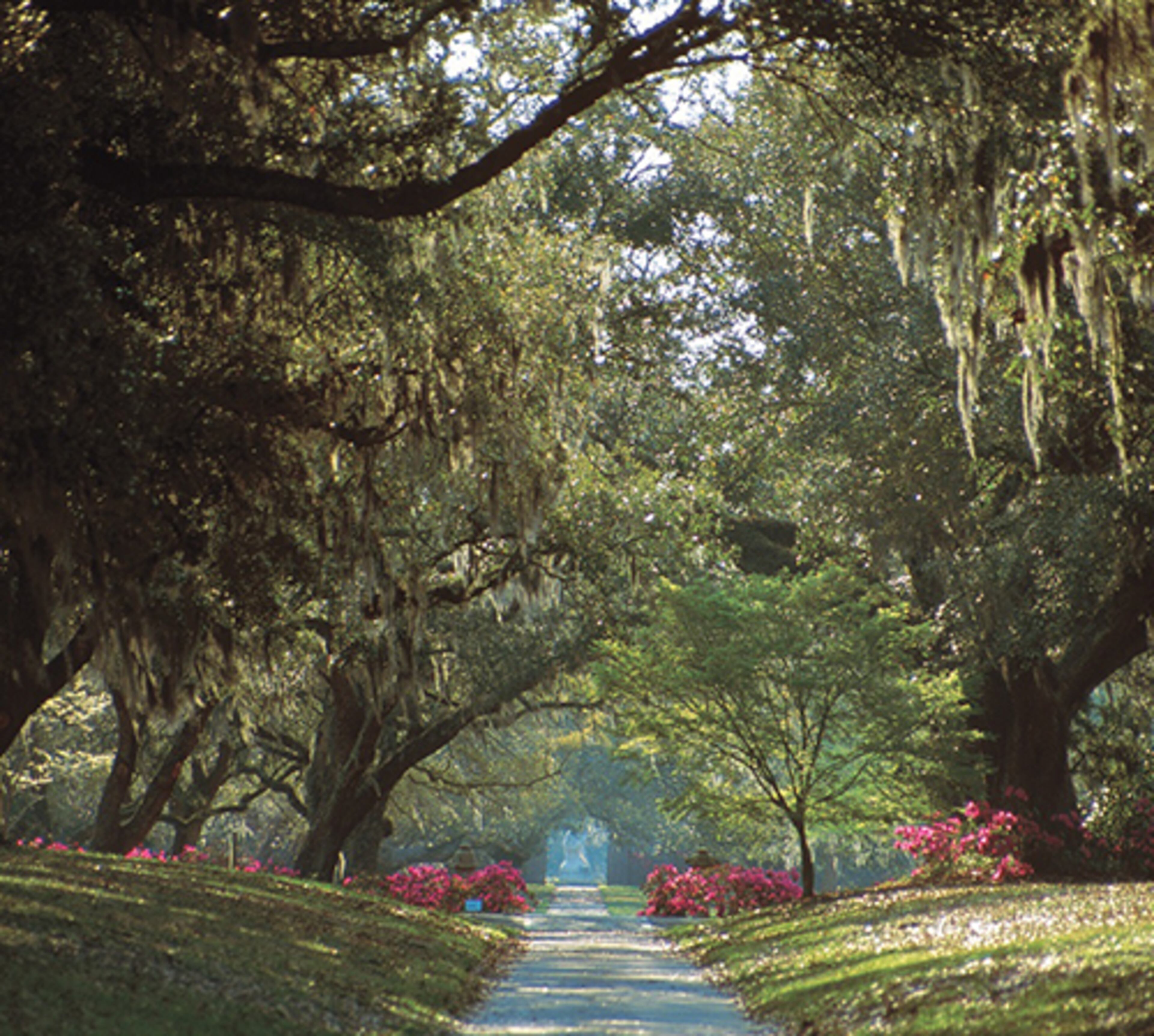 Enjoy a sense of history as you stroll down the Live Oak Allee in beautiful Brookgreen Gardens, one of the treasures of the Hammock Coast.