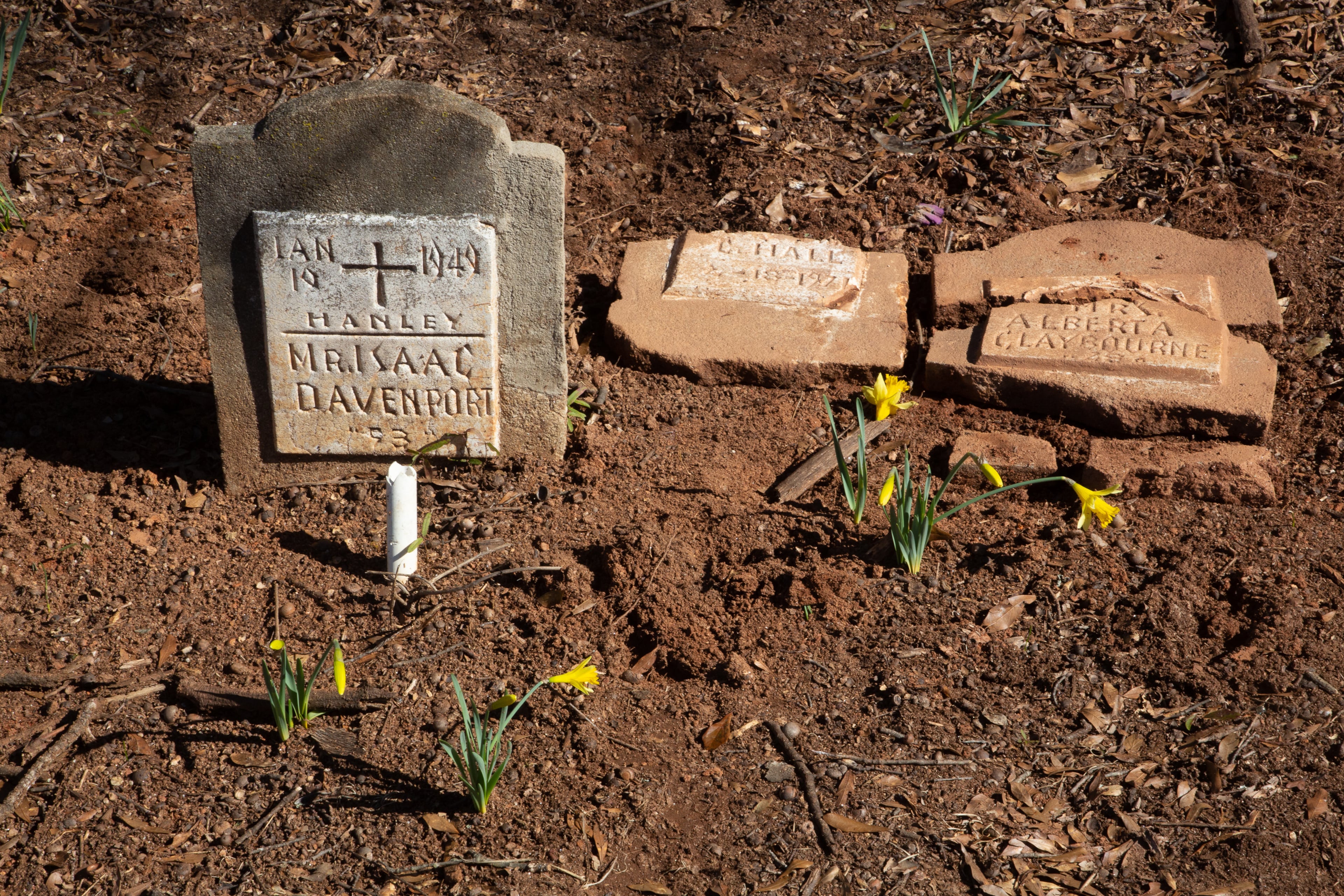 Mount Zion Cemetery in Smyrna was rededicated on Sunday, February 20, 2022. (Photo: Steve Schaefer for The Atlanta Journal-Constitution)
