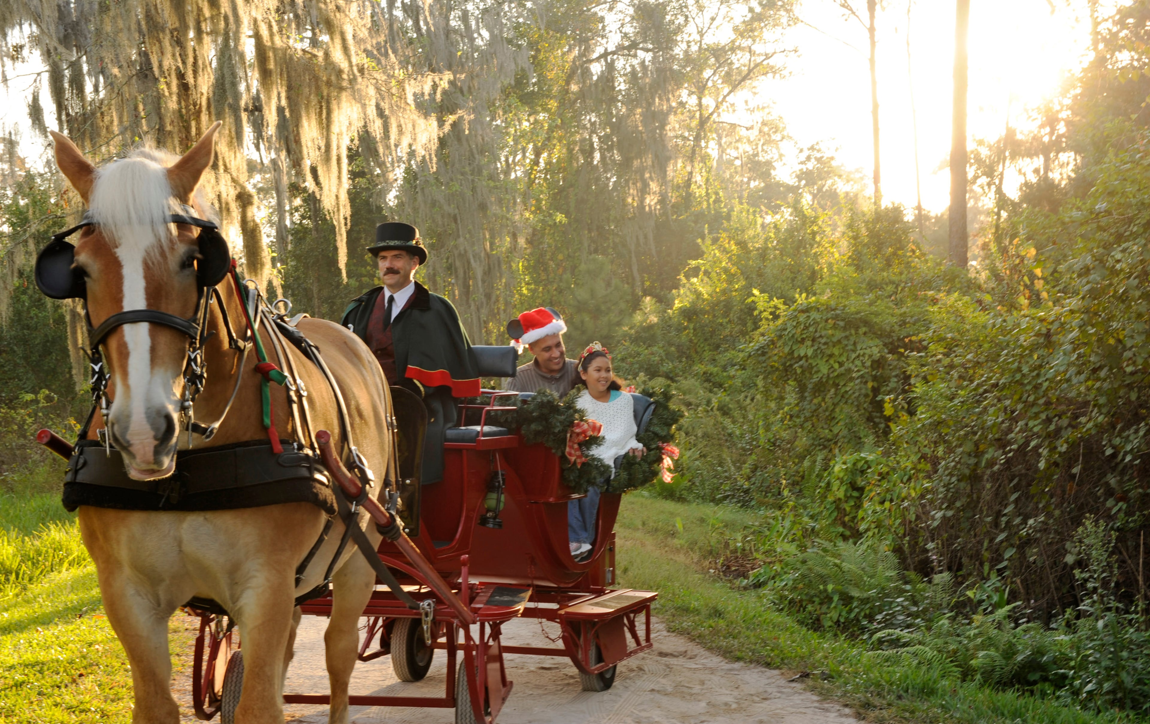 Through the Woods: Offered nightly in December, sleigh rides are a special holiday treat through the secluded natural beauty surrounding Disney's Fort Wilderness Resort & Campground. (Kent Phillips, photographer)