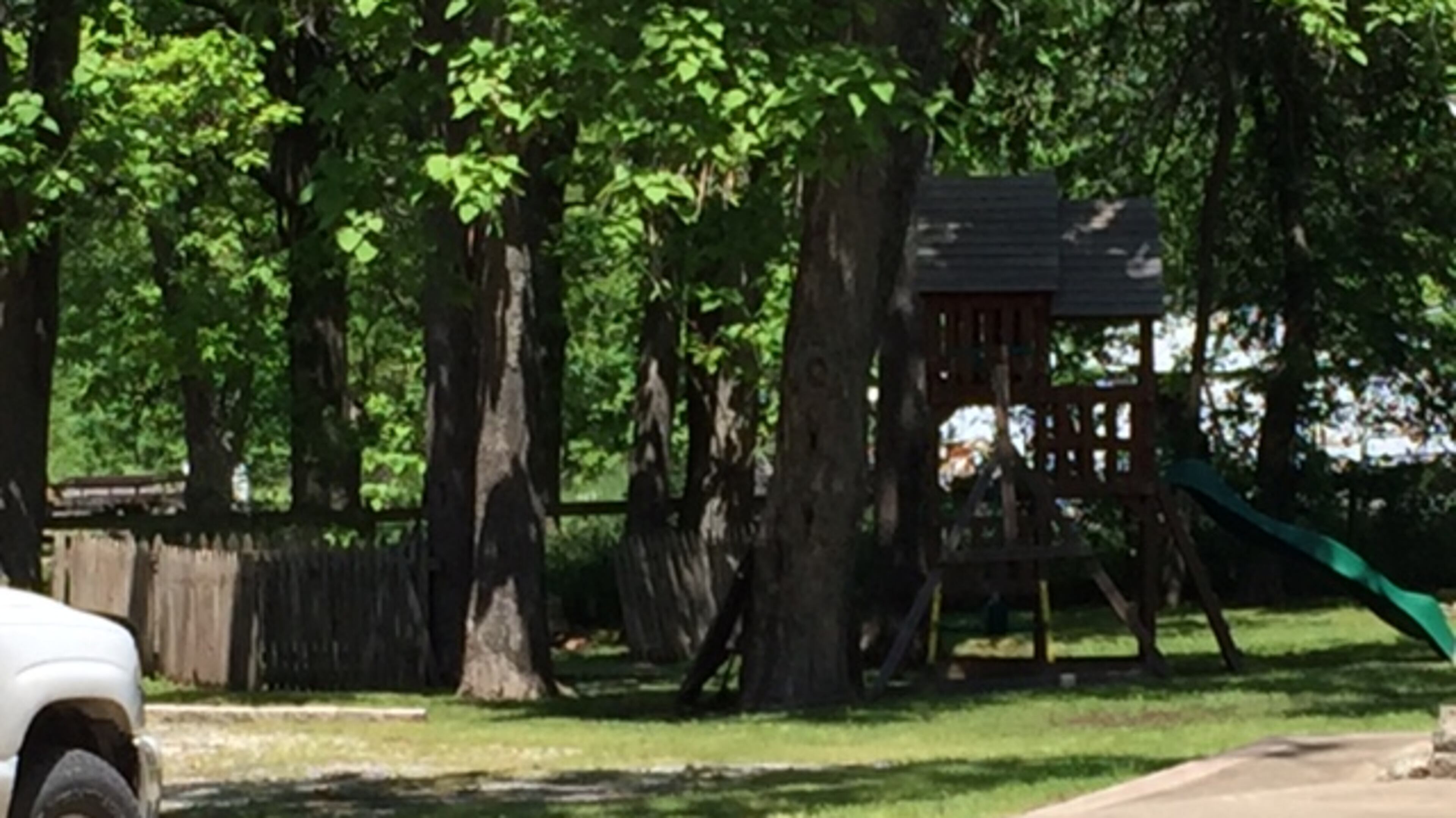 Home of Muskogee zebra