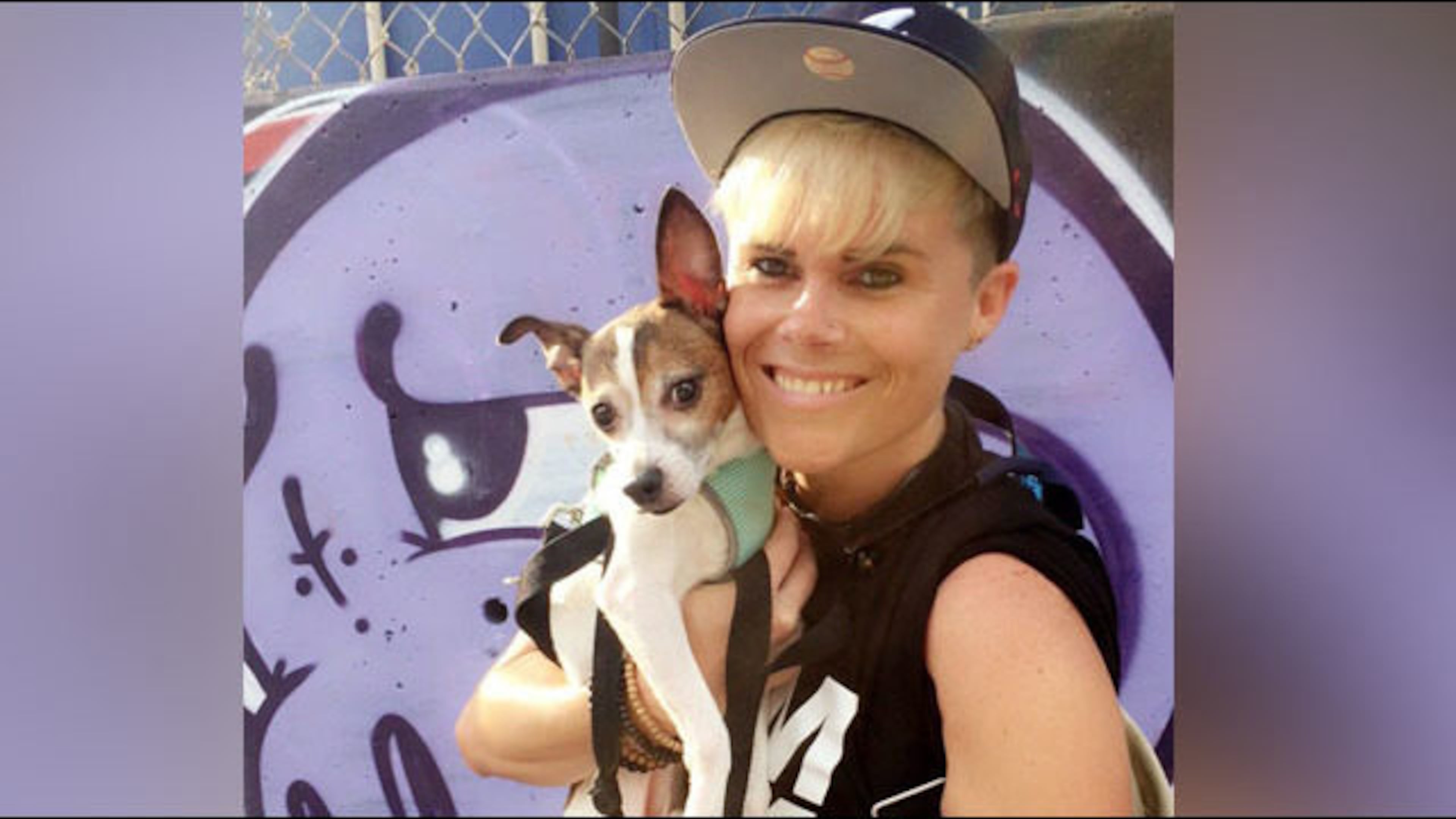 <p>Missing rescue dog stolen after thieves take off with car he was riding in </p>