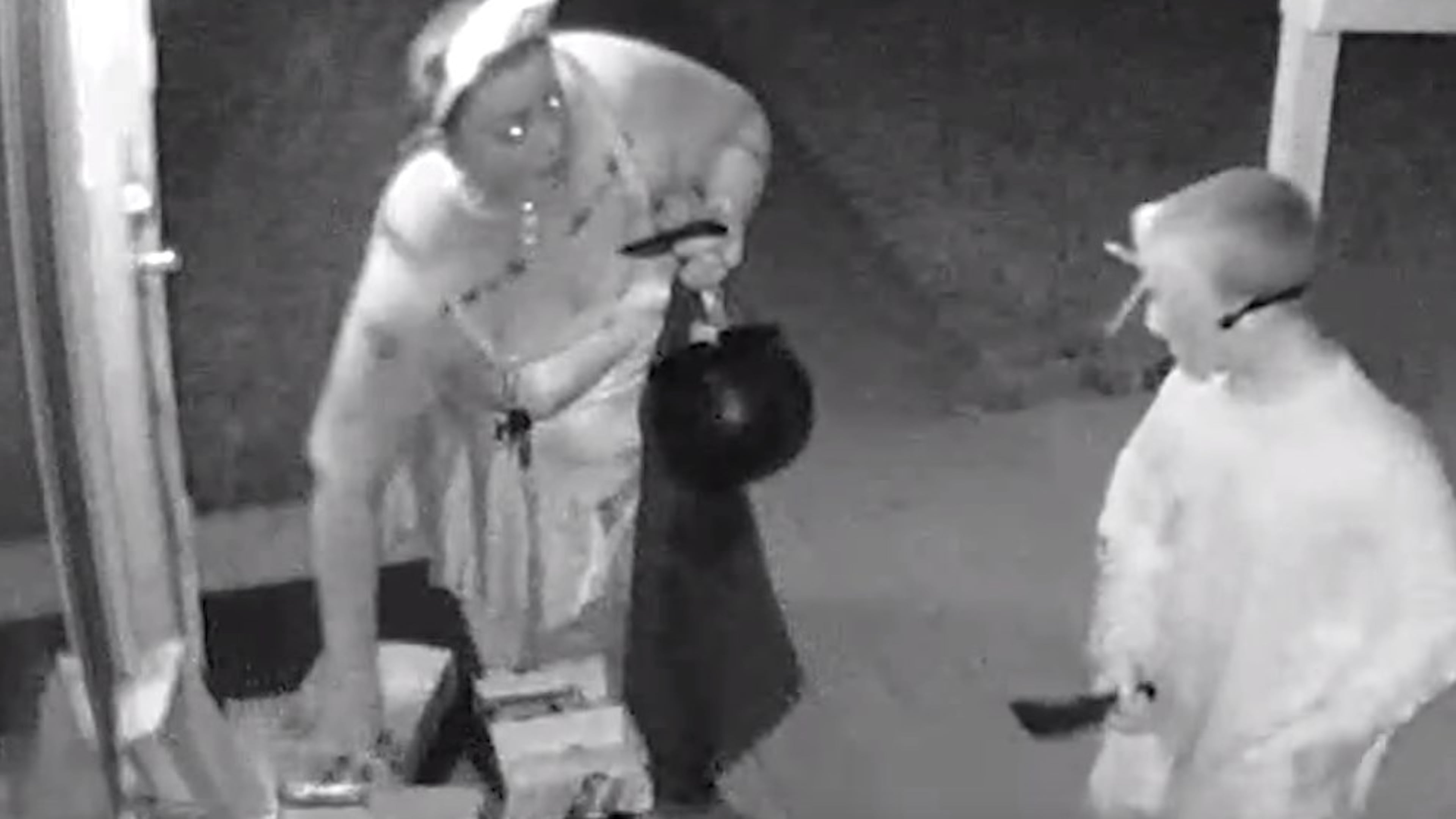 Photo credit: YouTube