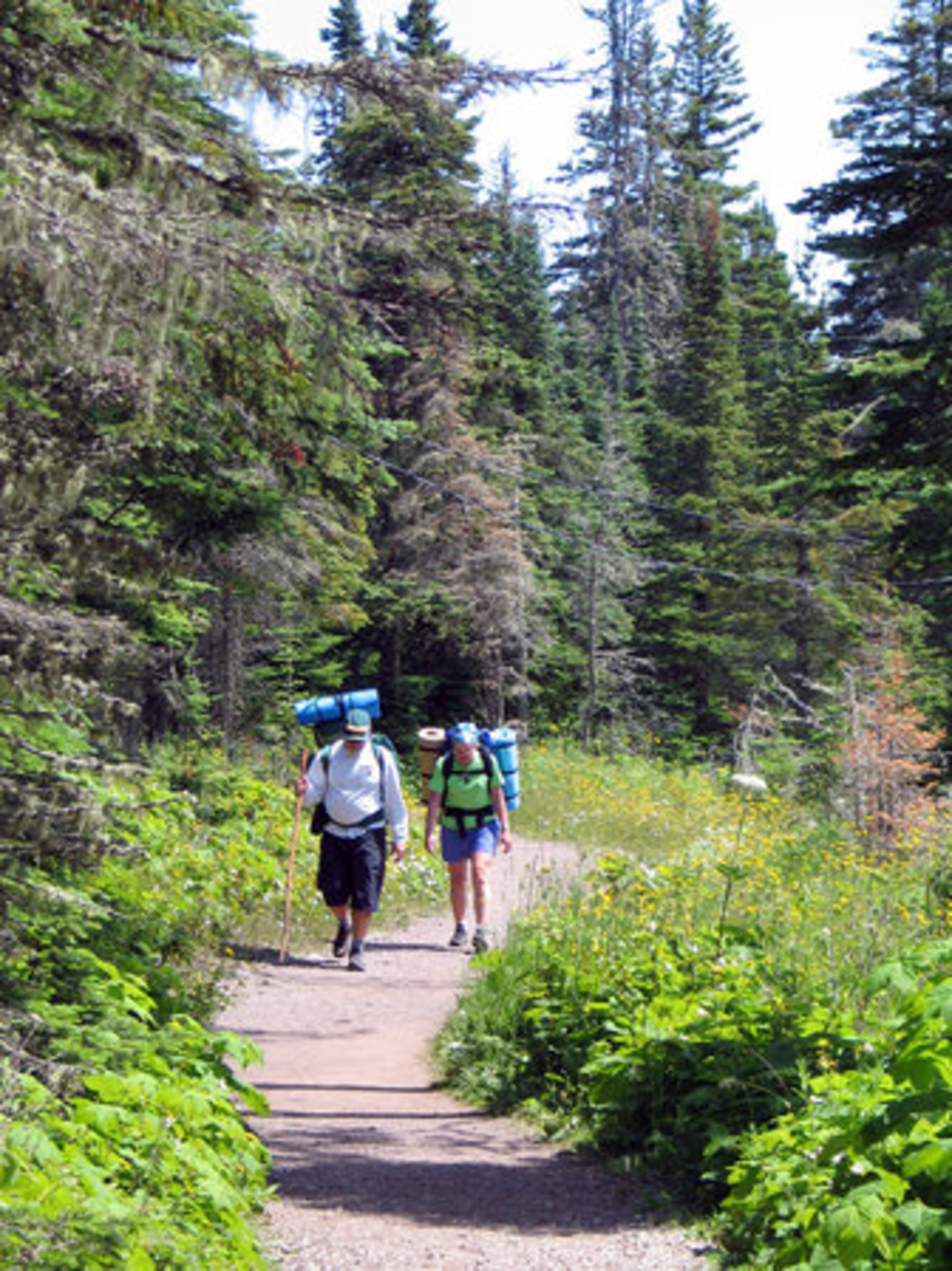 Hikers on the trail to Three Mile on Isle Royale, Mich.