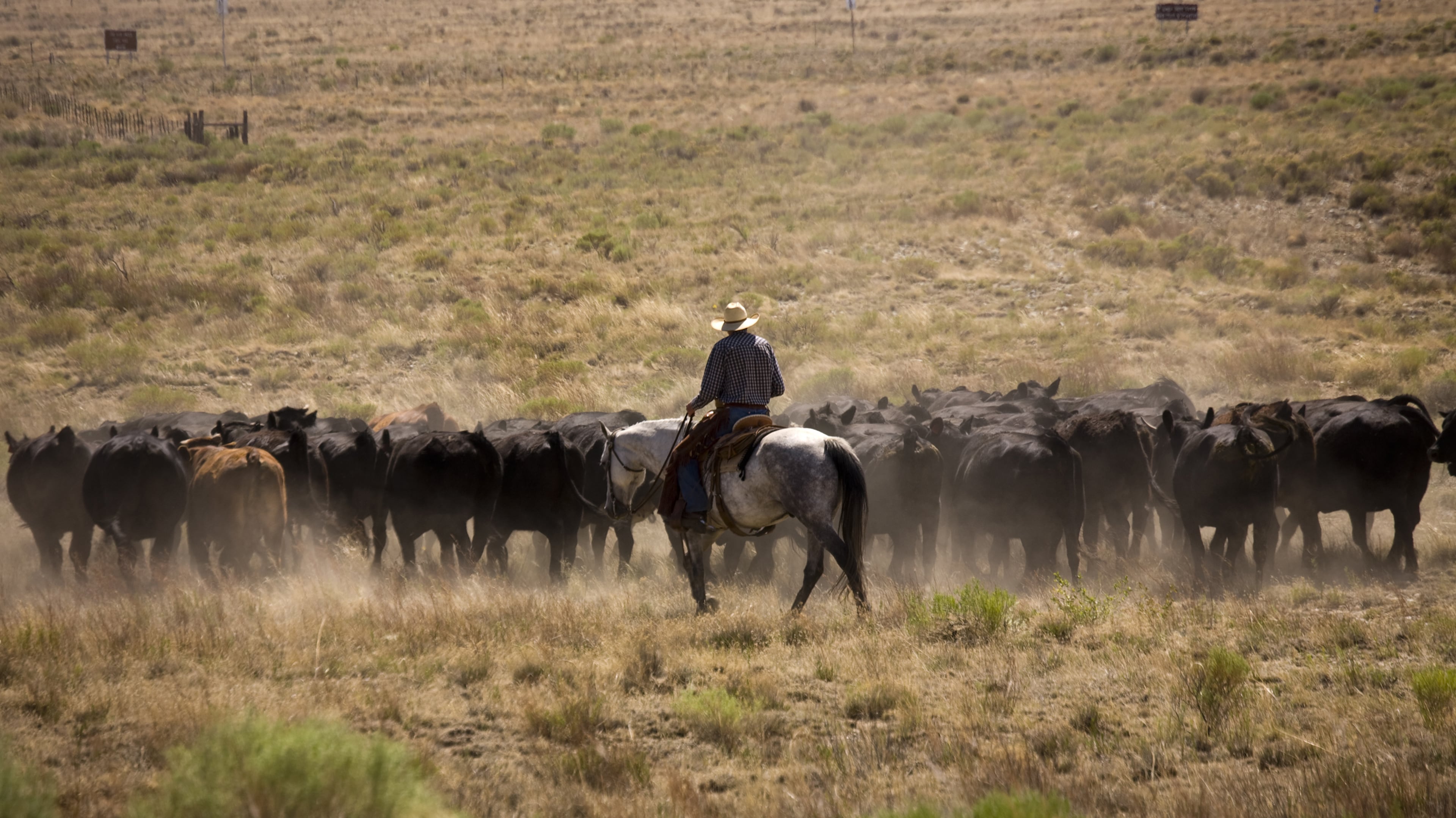 A cattle drive on the Nature Conservancy’s 103,000-acre Zapata Ranch. The property is considered a model for sustainable ranching, habitat preservation and environmental education. (Dave G. Houser/TNS)