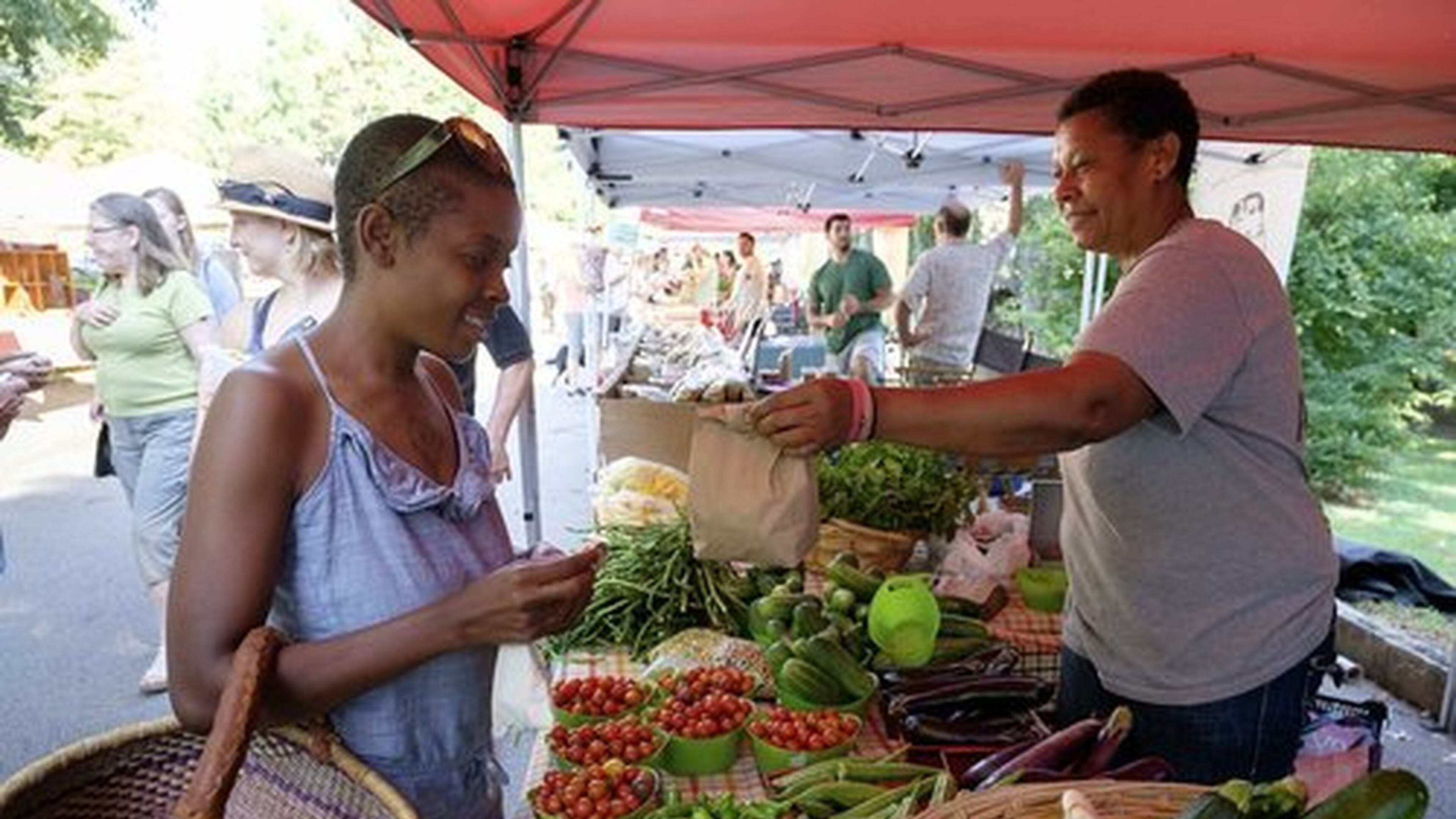 Many farmers markets around metro Atlanta are participating in Georgia Fresh for Less, a program of the state to double the dollar value of food stamps. Shoppers need only swipe their EBT cards to receive twice the dollar amount in tokens to spend at participating markets. View these markets at WholesomeWaveGeorgia.org/Georgia-fresh-for-less. Contributed by Wholesome Wave Georgia