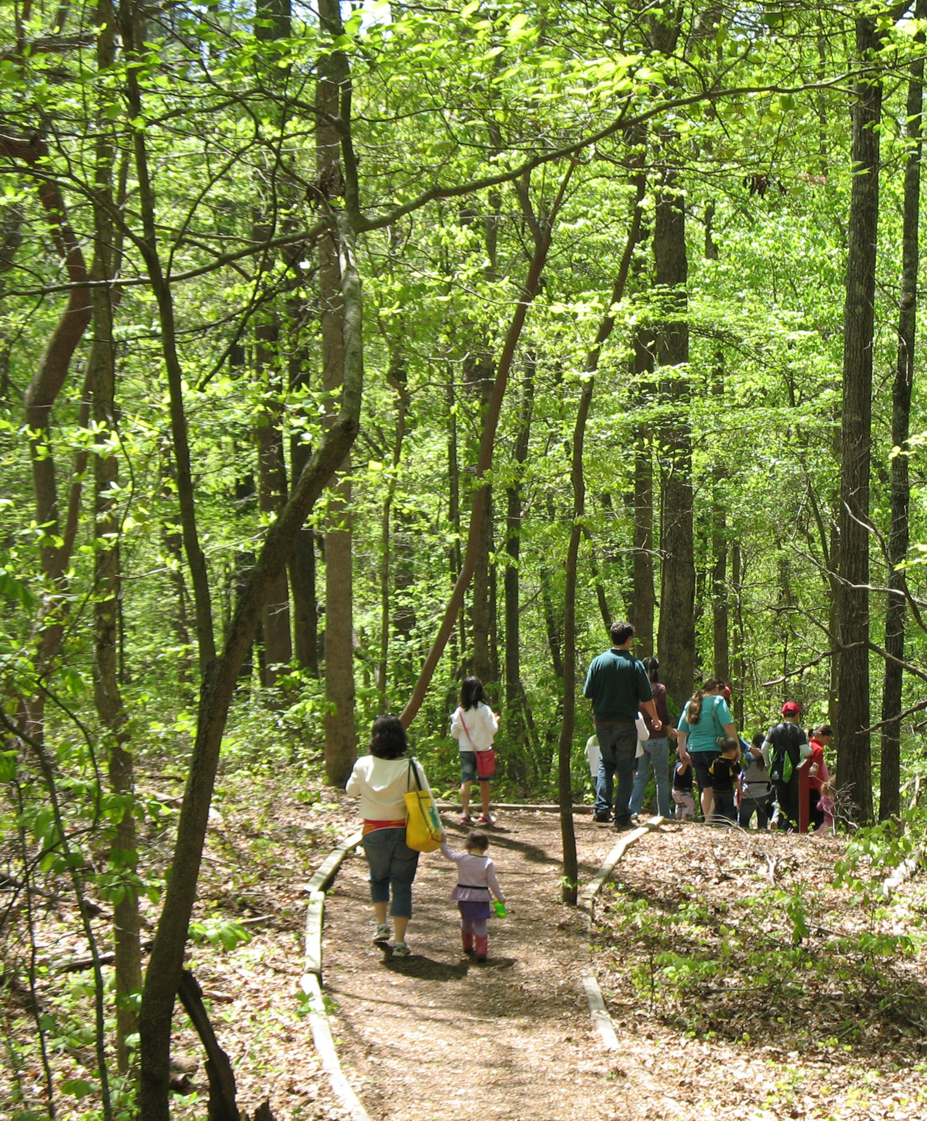 People of all ages enjoy hiking the three miles of trails through the 46 acres at Autrey Mill Nature Preserve at Johns Creek.
(Courtesy of Autrey Mill Nature Preserve)