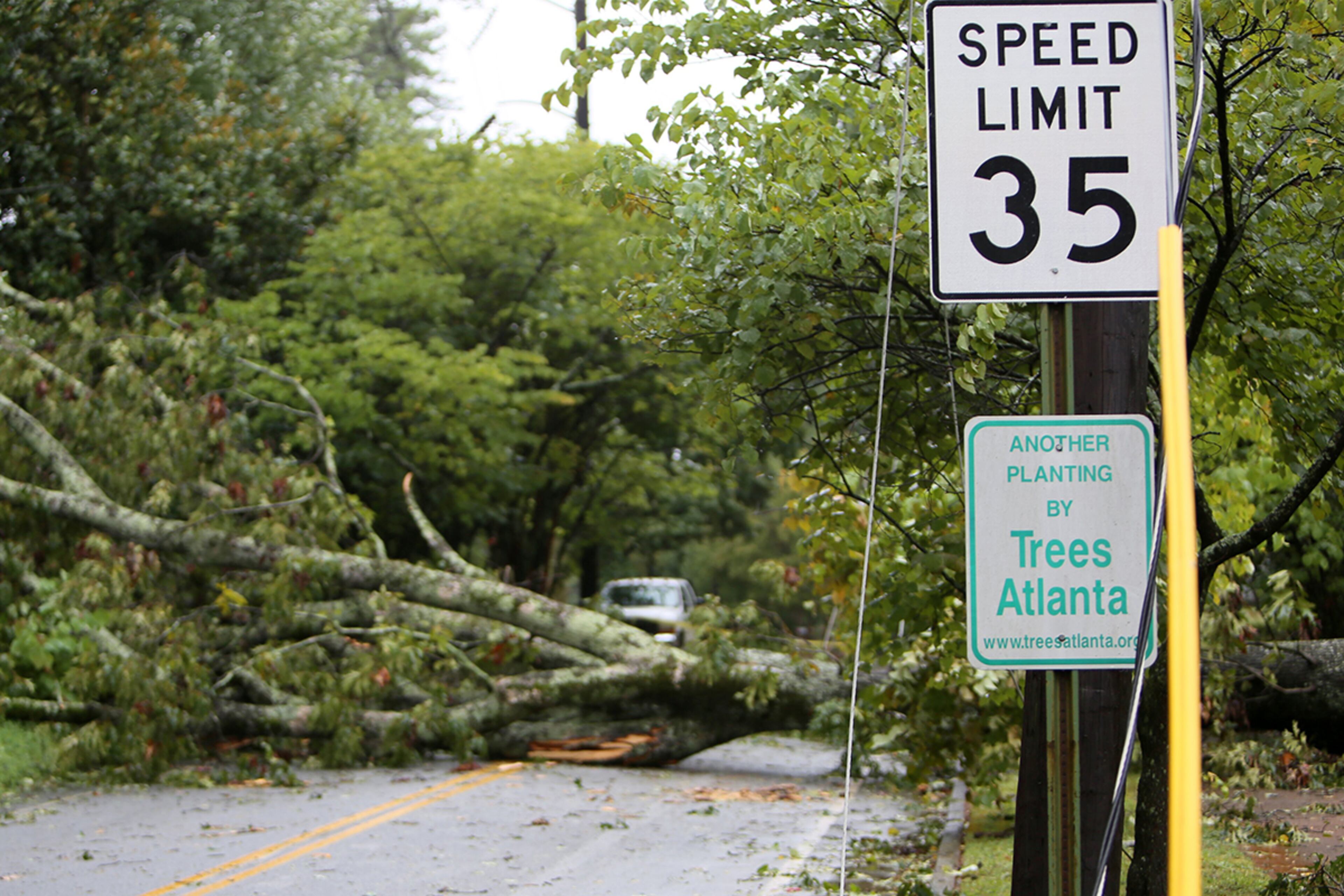 September,12 , 2017-Atlanta- In the intersection of Hossea Williams and Second Ave in Decatur a large tree blocks the road in Dekalb County. (Miguel Martinez / MundoHispanico)
