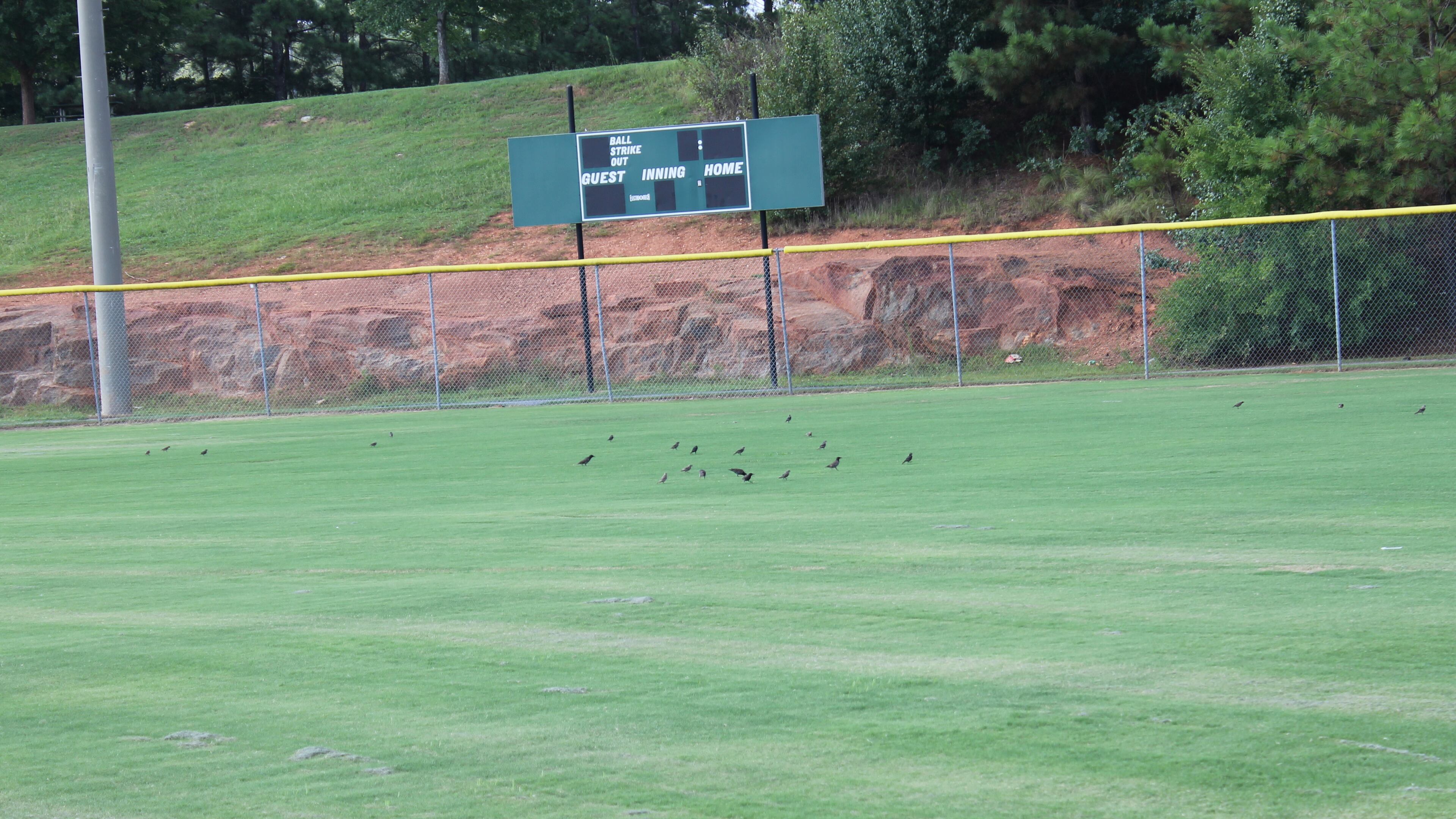 Three Cobb athletic fields will receive artificial turf instead of continuing to be planted with Bermuda grass. Carolyn Cunningham for the AJC