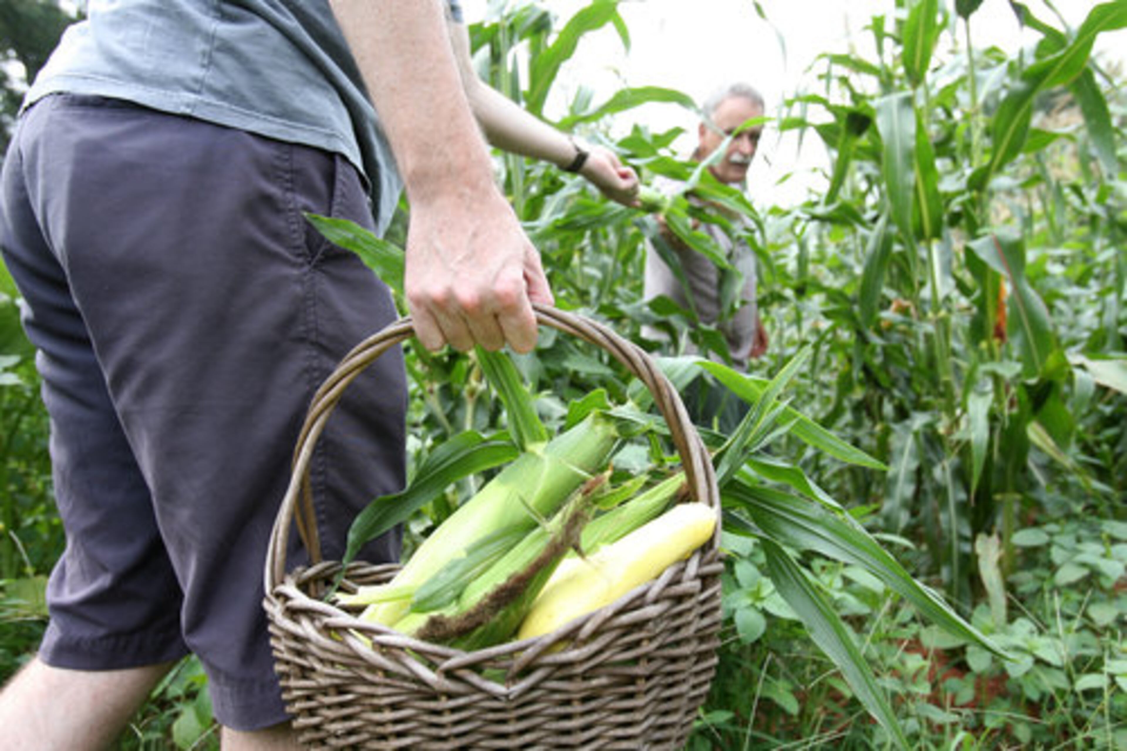Harrison plowed new ground in winning a legal dispute with Fulton County and securing a tax break meant to protect farms in the path of development.
