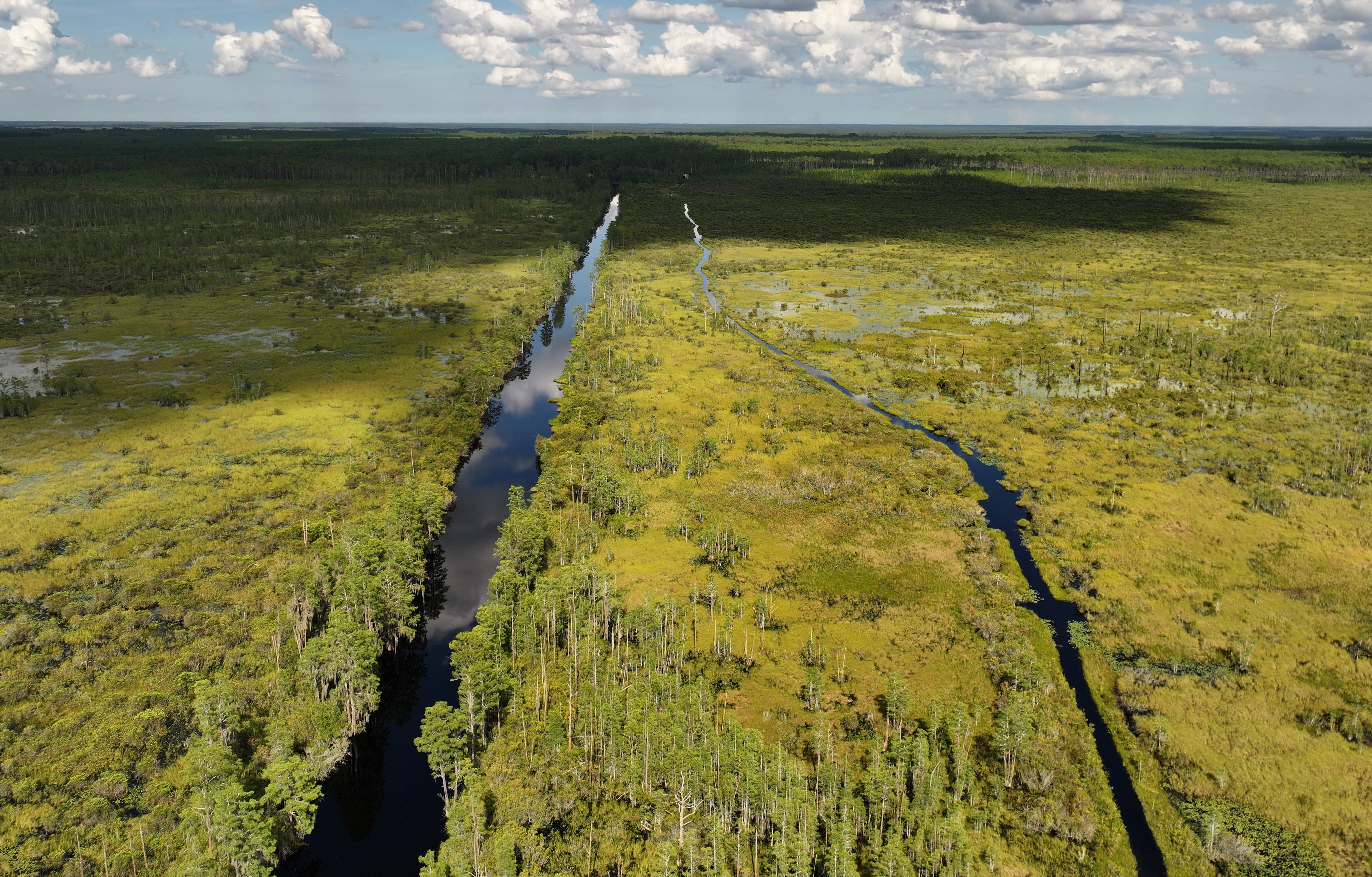 Environmental groups are calling on one of the world’s largest producers of titanium-based products to pledge never to mine near Georgia’s Okefenokee Swamp. (Hyosub Shin/AJC 2025)