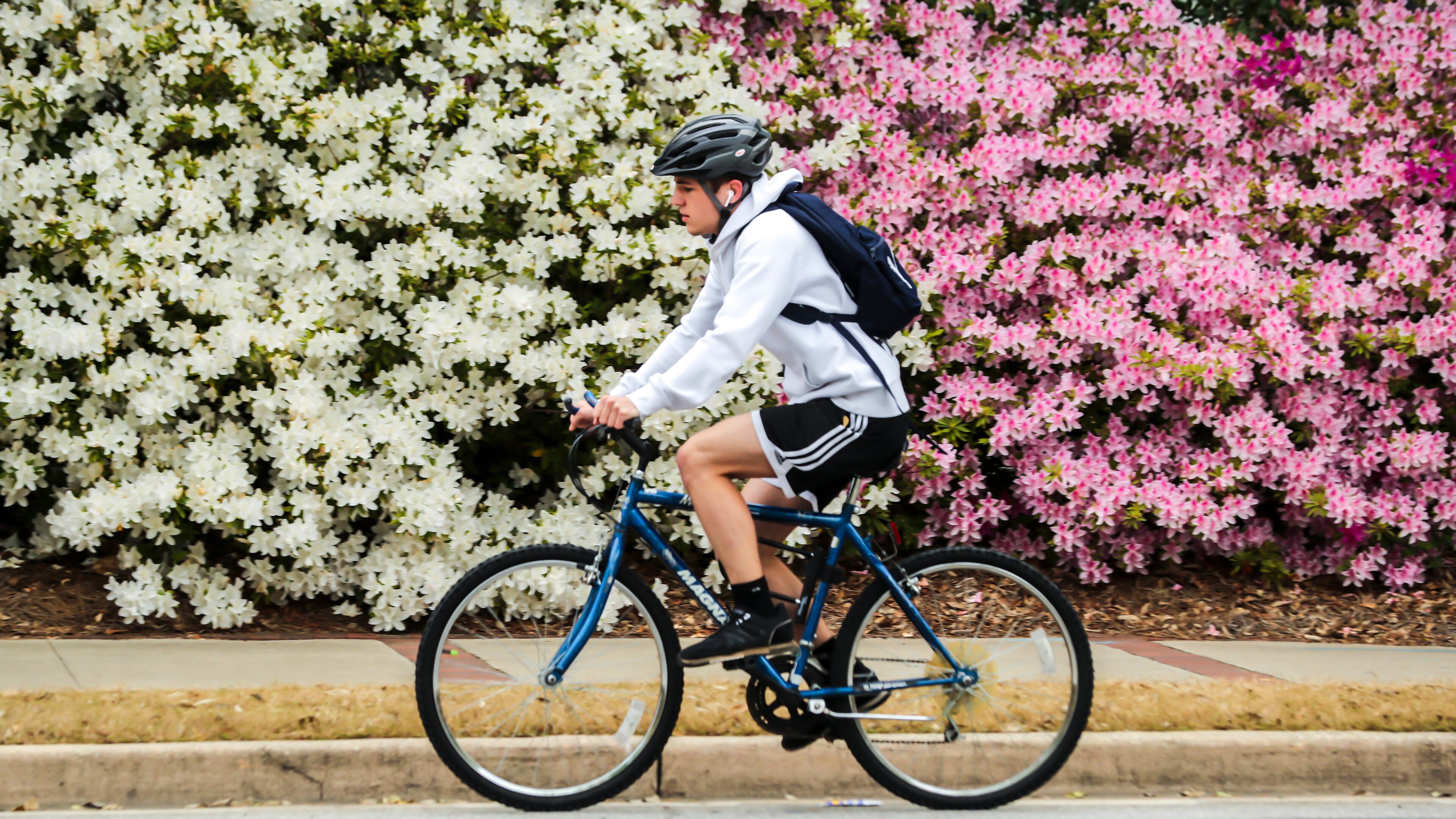 Matthieu Mule-19 a 2nd year students in aerospace engineering at Georgia Tech rides past a wall of flowering foliage along Ferst Drive at Regents Drive on the Georgia Tech campus. (John Spink / John.Spink@ajc.com)