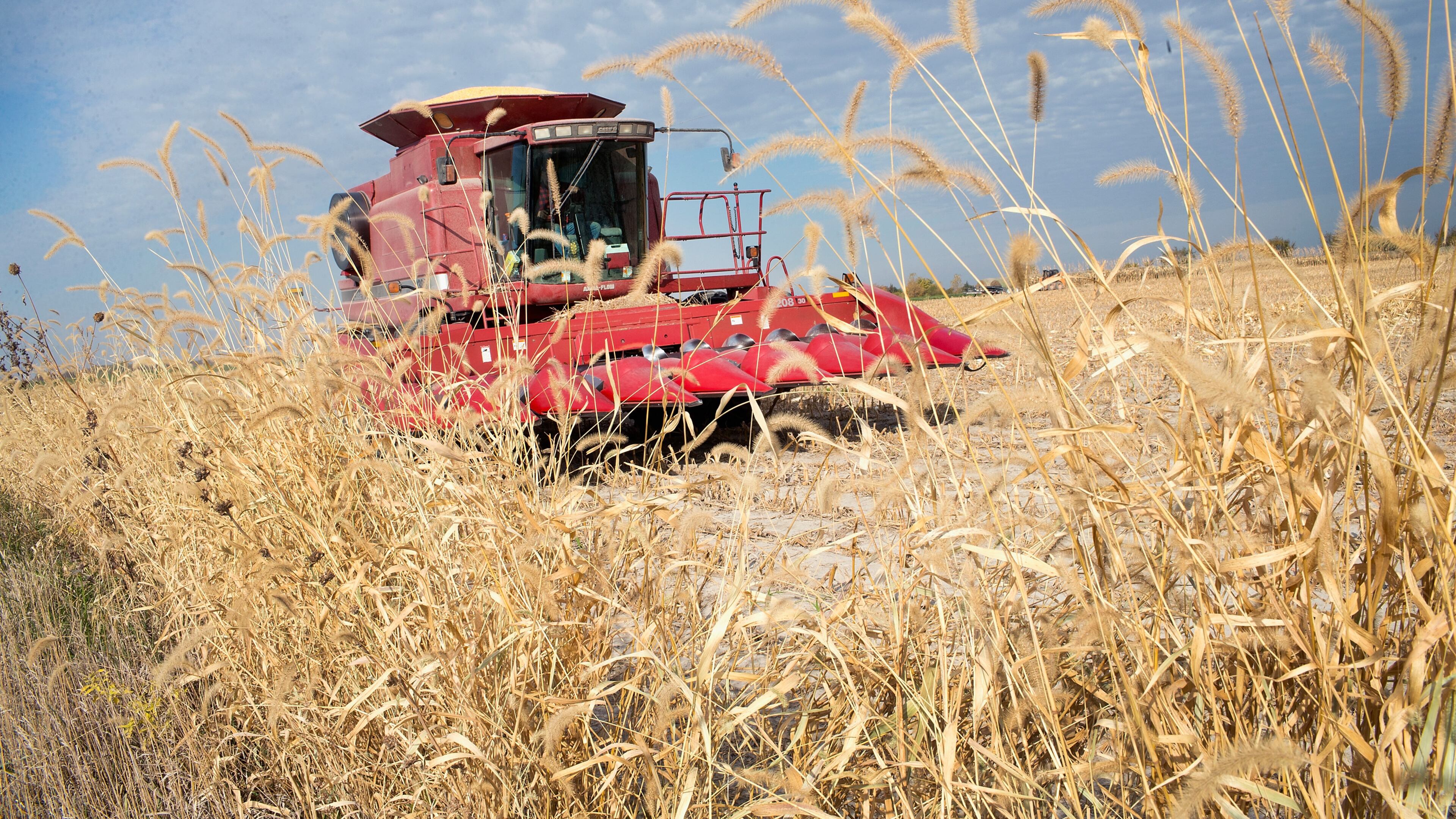 (Photo by Scott Olson/Getty Images)
