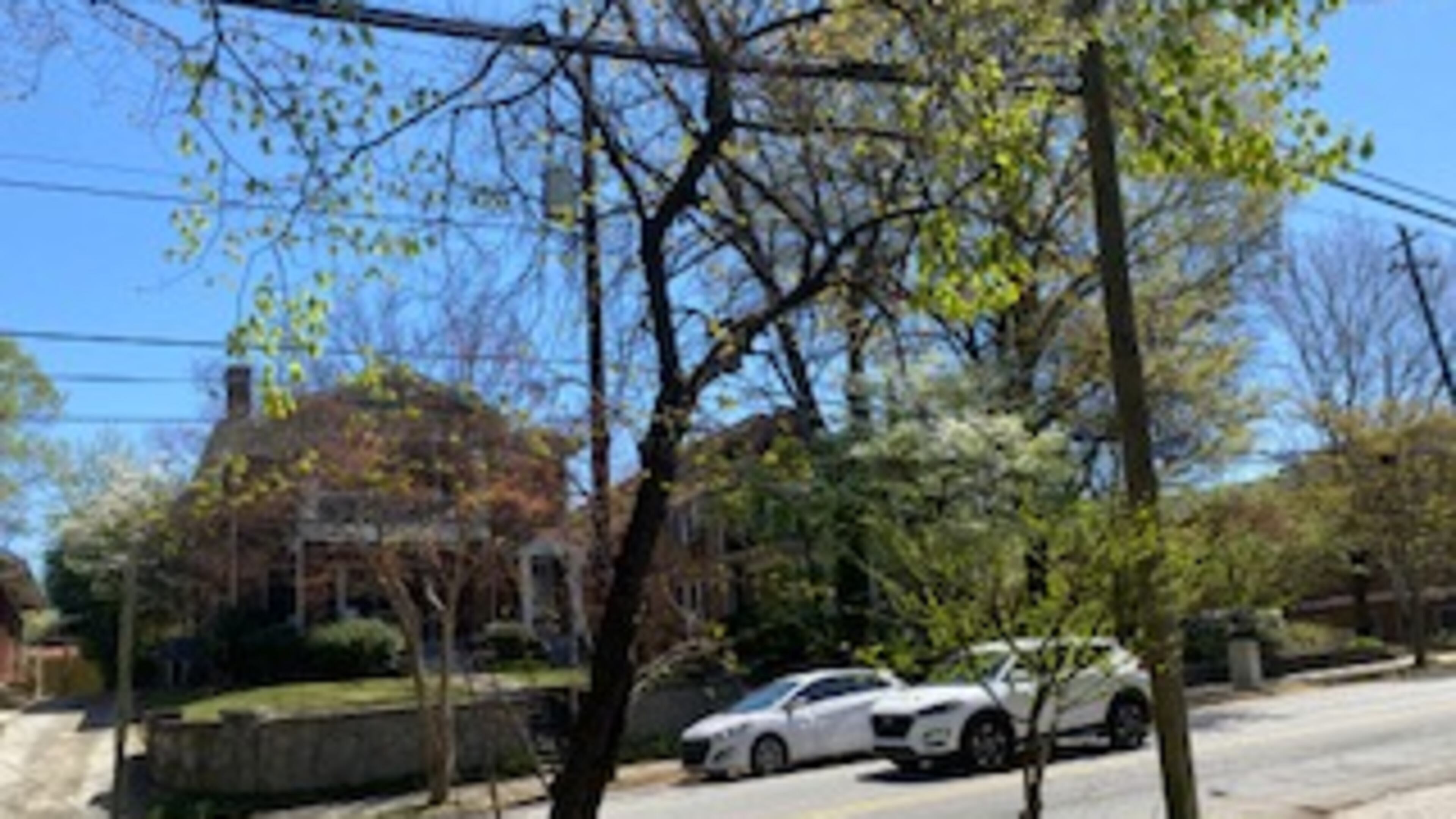 Lyn Billings wants something done about this tree before utility lines are torn down.