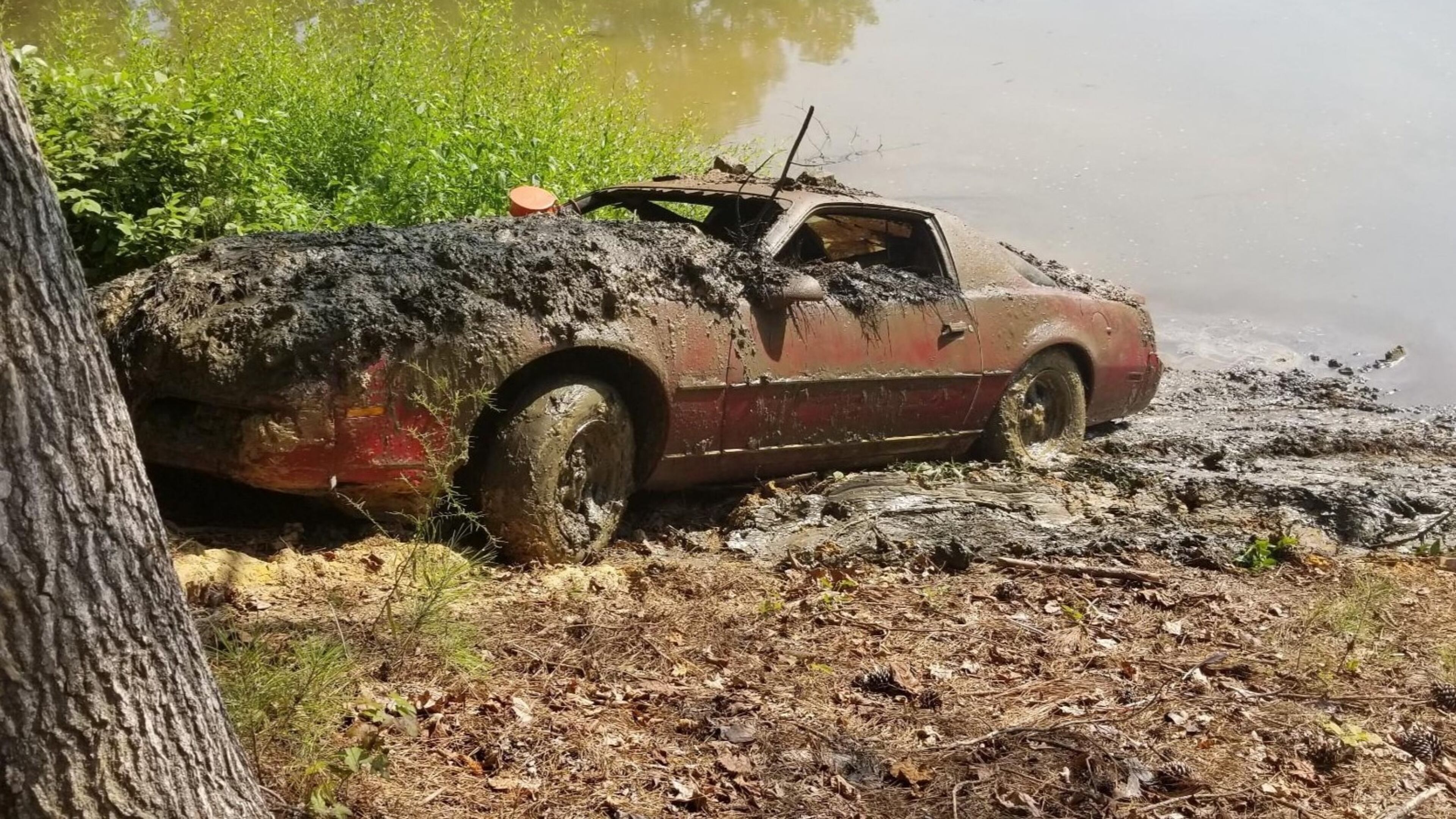 Cobb County police recovered a stolen 1983 Pontiac Firebird from a west Cobb lake Tuesday. The car had been missing for 30 years.