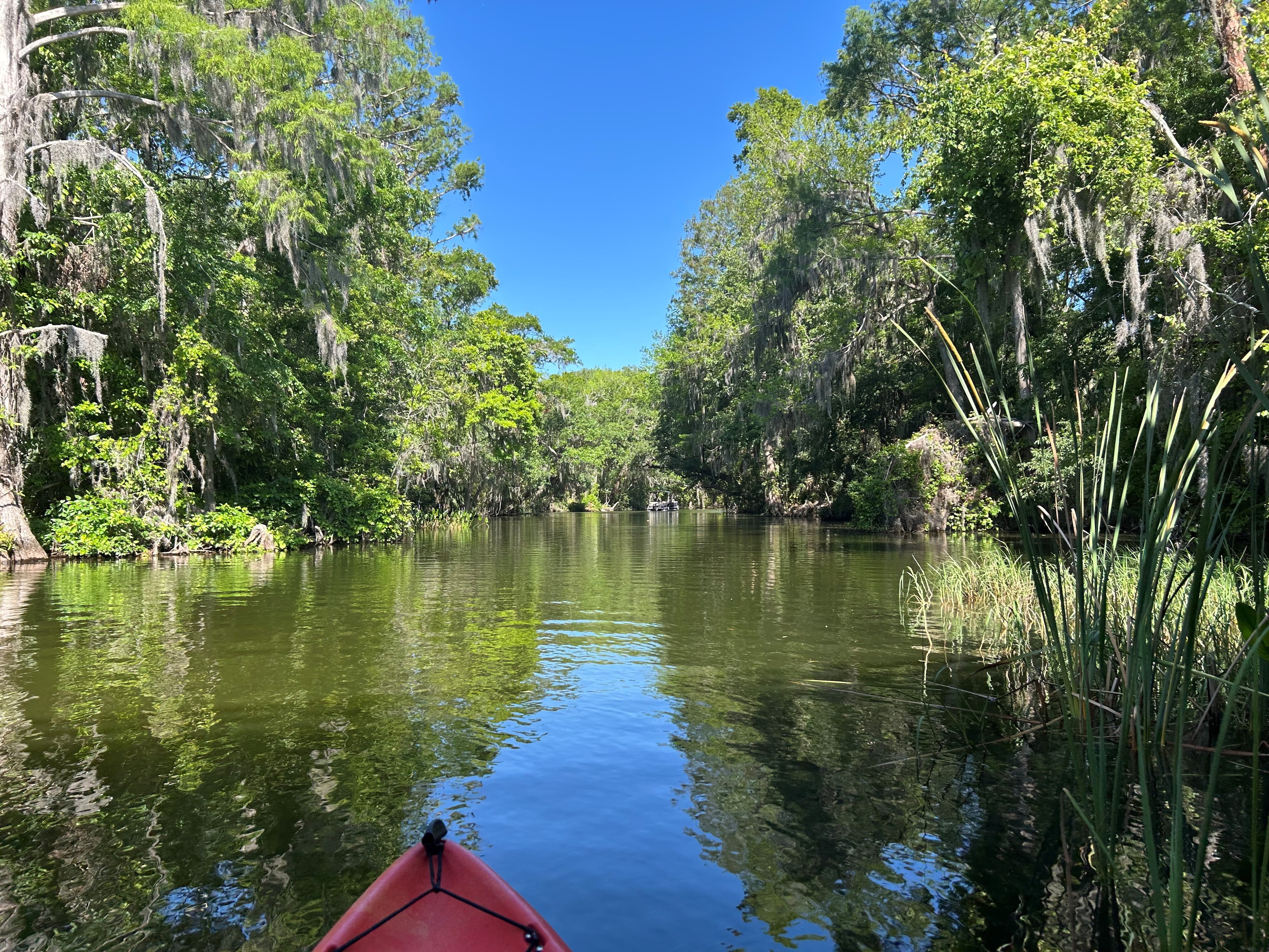 Kayaking the Dora Canal, Lake County, Fla. (Courtesy of Karon Warren)