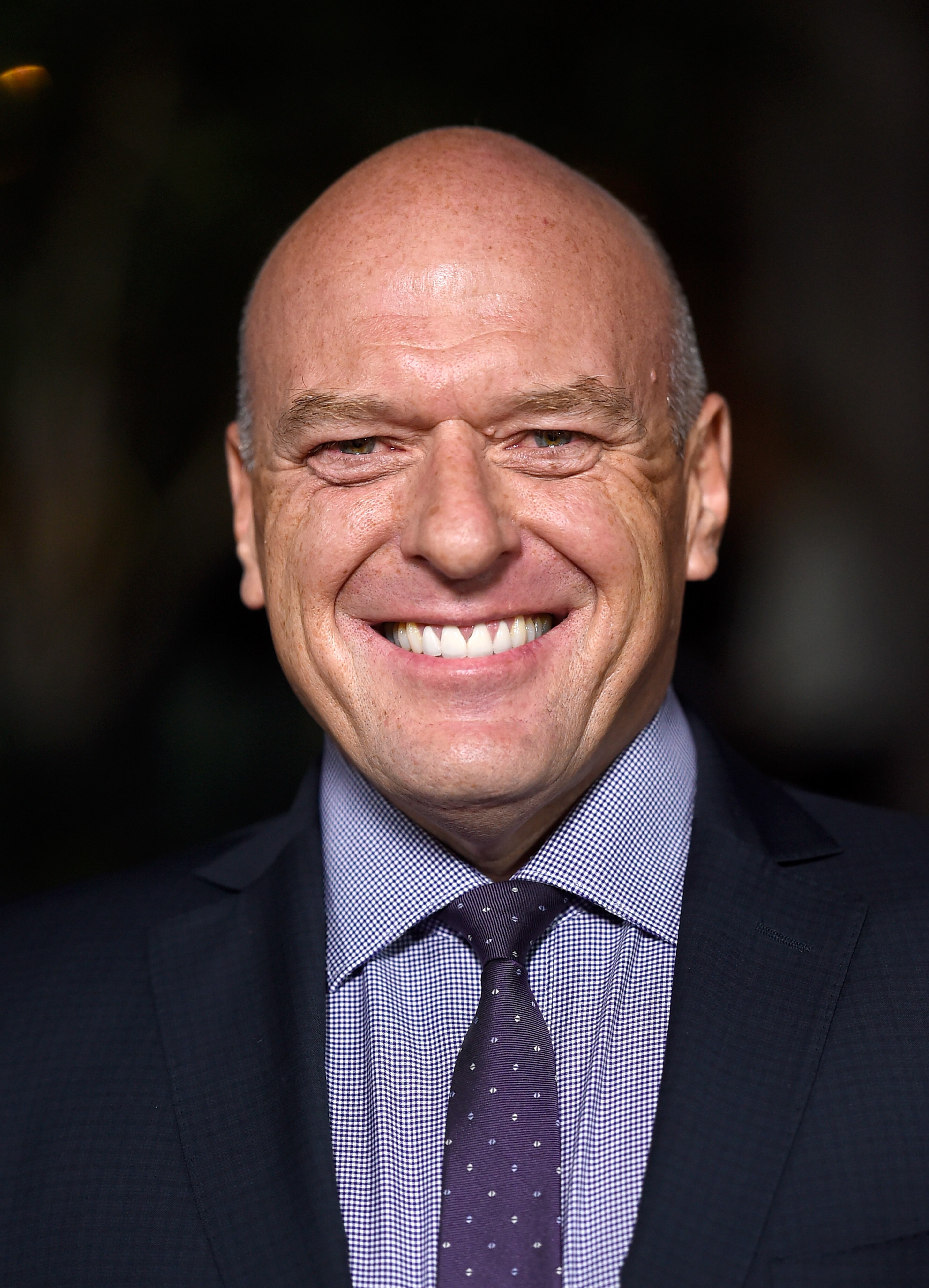 LOS ANGELES, CA - SEPTEMBER 30: Actor Dean Norris attends Paramount Pictures' "Men, Women & Children" premiere at Directors Guild Of America on September 30, 2014 in Los Angeles, California. (Photo by Frazer Harrison/Getty Images)