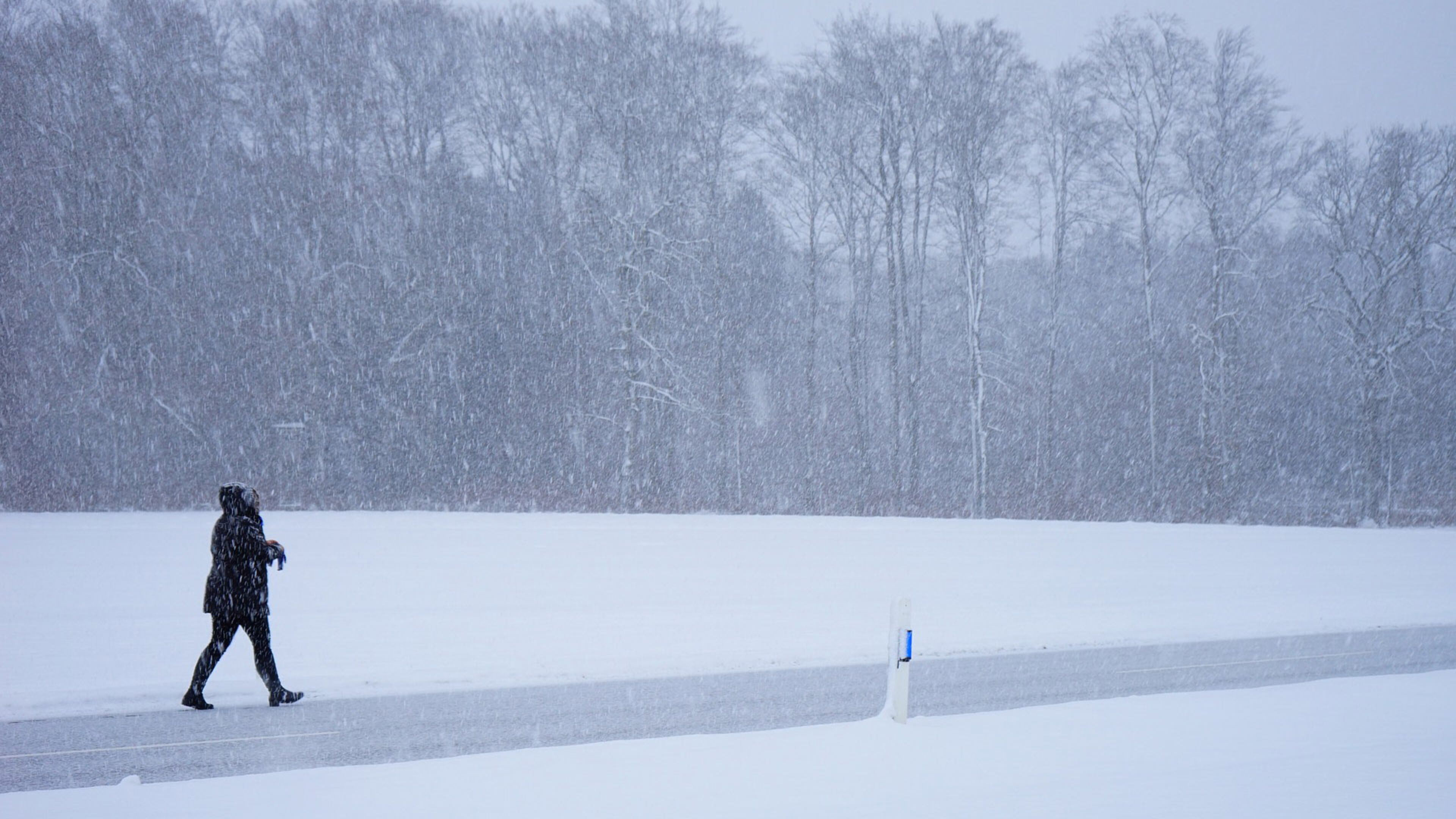A California couple who intended to go on a camping trip but ended up getting stranded by a snowstorm for two weeks were rescued along with their dogs Wednesday.