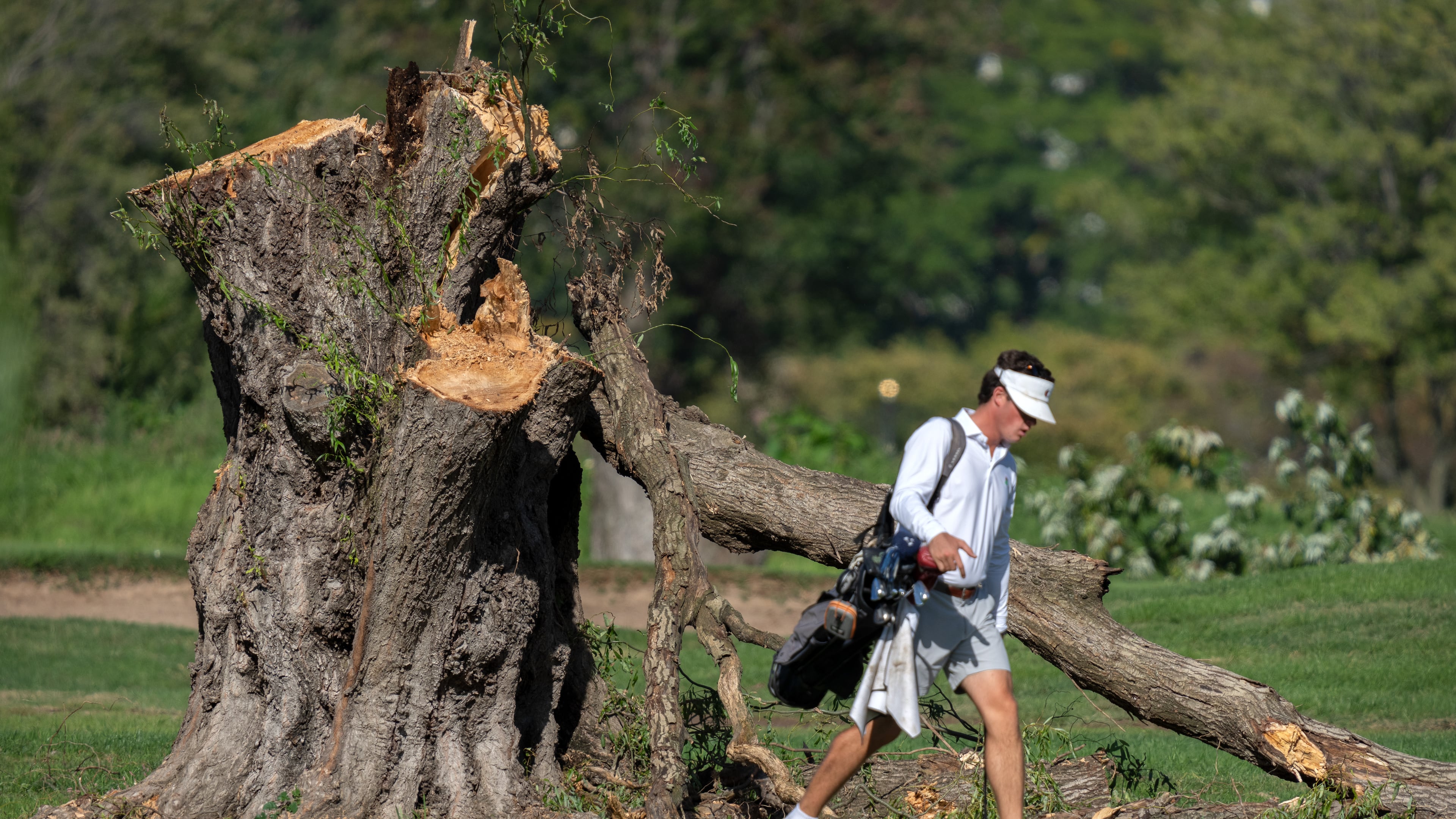 A golfer walks past the stump of a large tree at the East Potomac Golf Links, Monday, Oct. 12, 2026, in Washington. (AP Photo/Mark Schiefelbein)