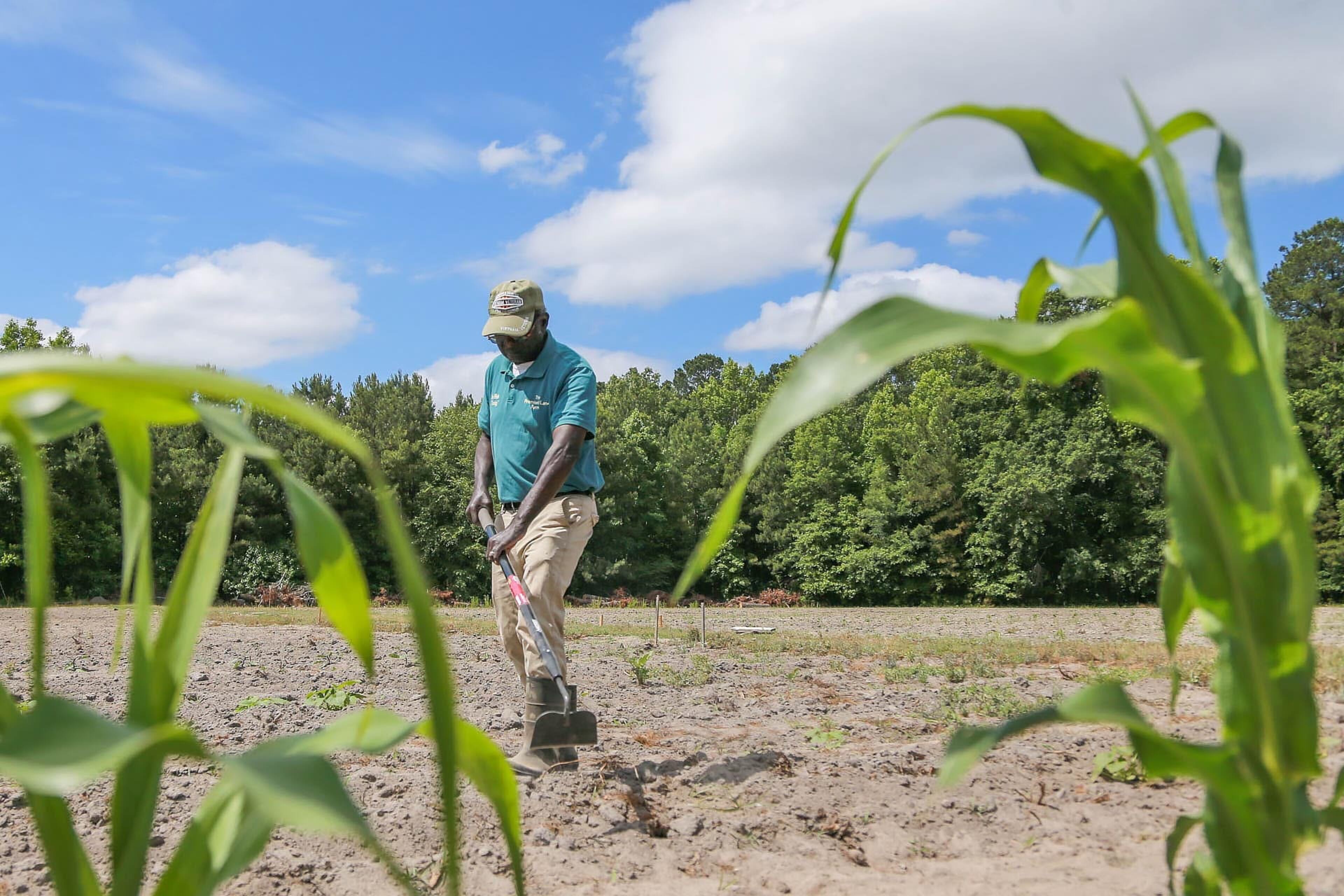 Robert "Uncle Bob" Johnson uses a hoe to clear some weeds from his filed at Promised Land Farm in Monteith.
