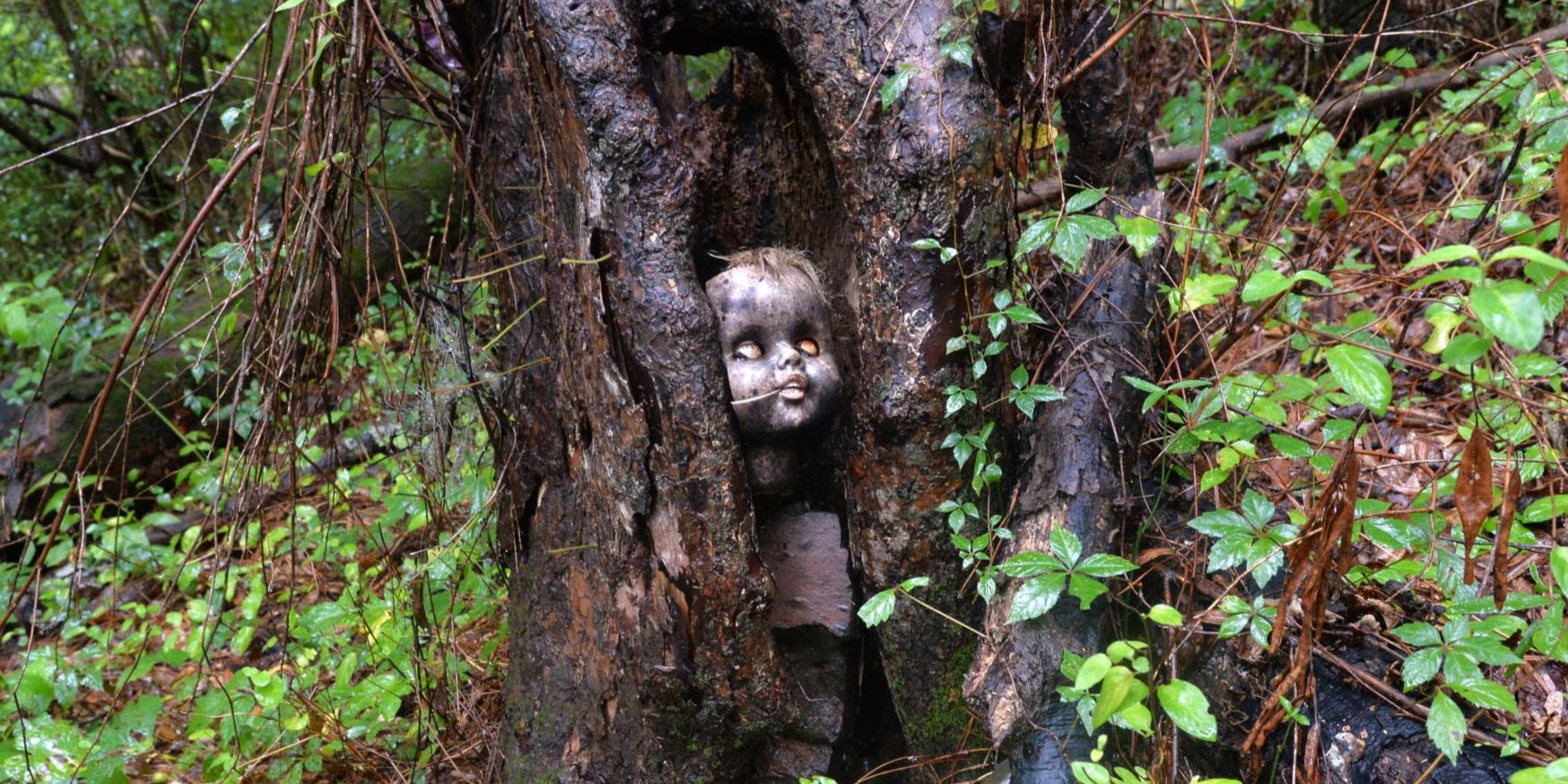 Doll’s-Head Trail inside Constitution Lakes Park is an evolving “found art” trail fashioned from refuse left in the area. (Photo by HYOSUB SHIN)