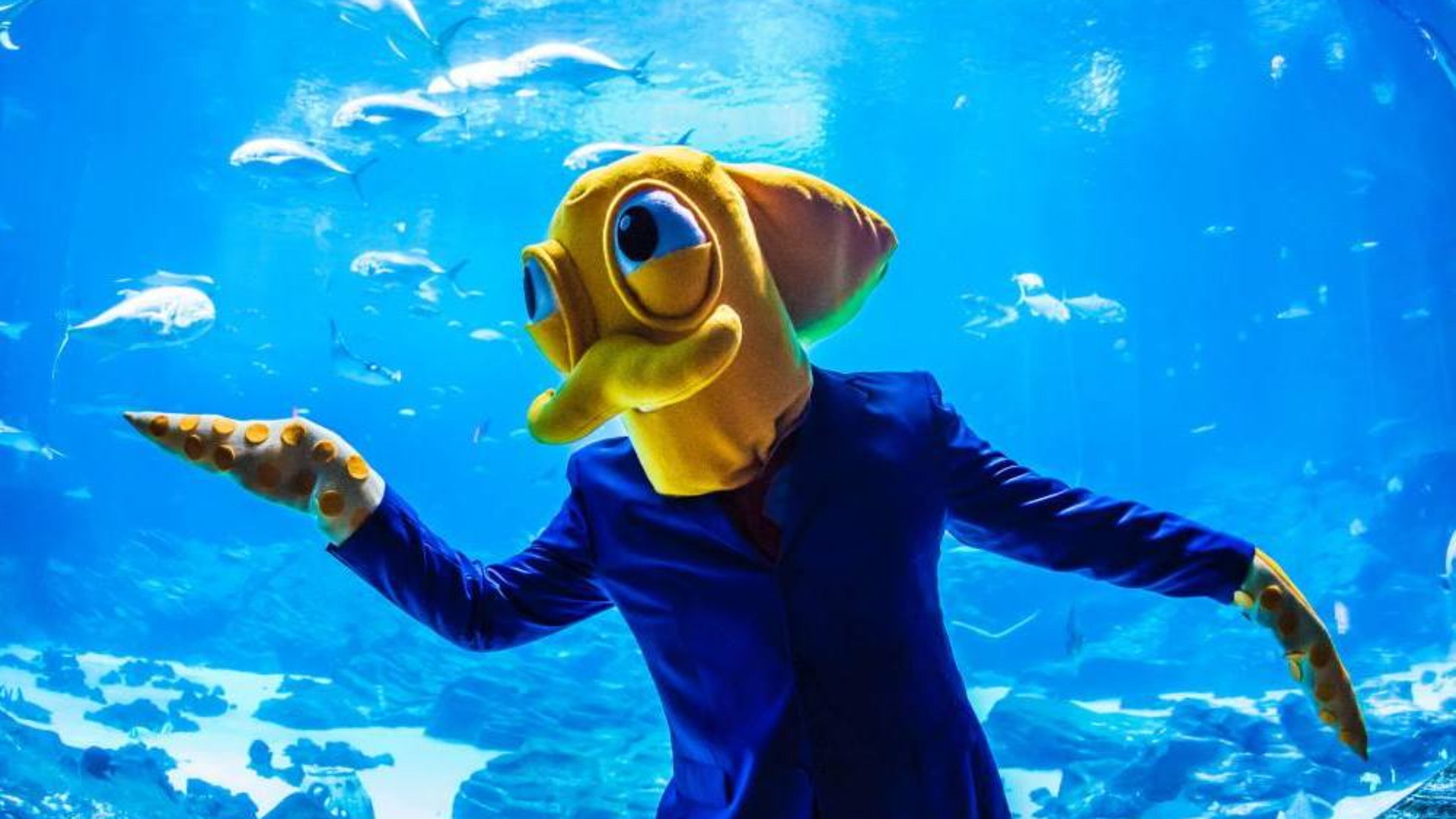 MomoCon promises much cosplay.