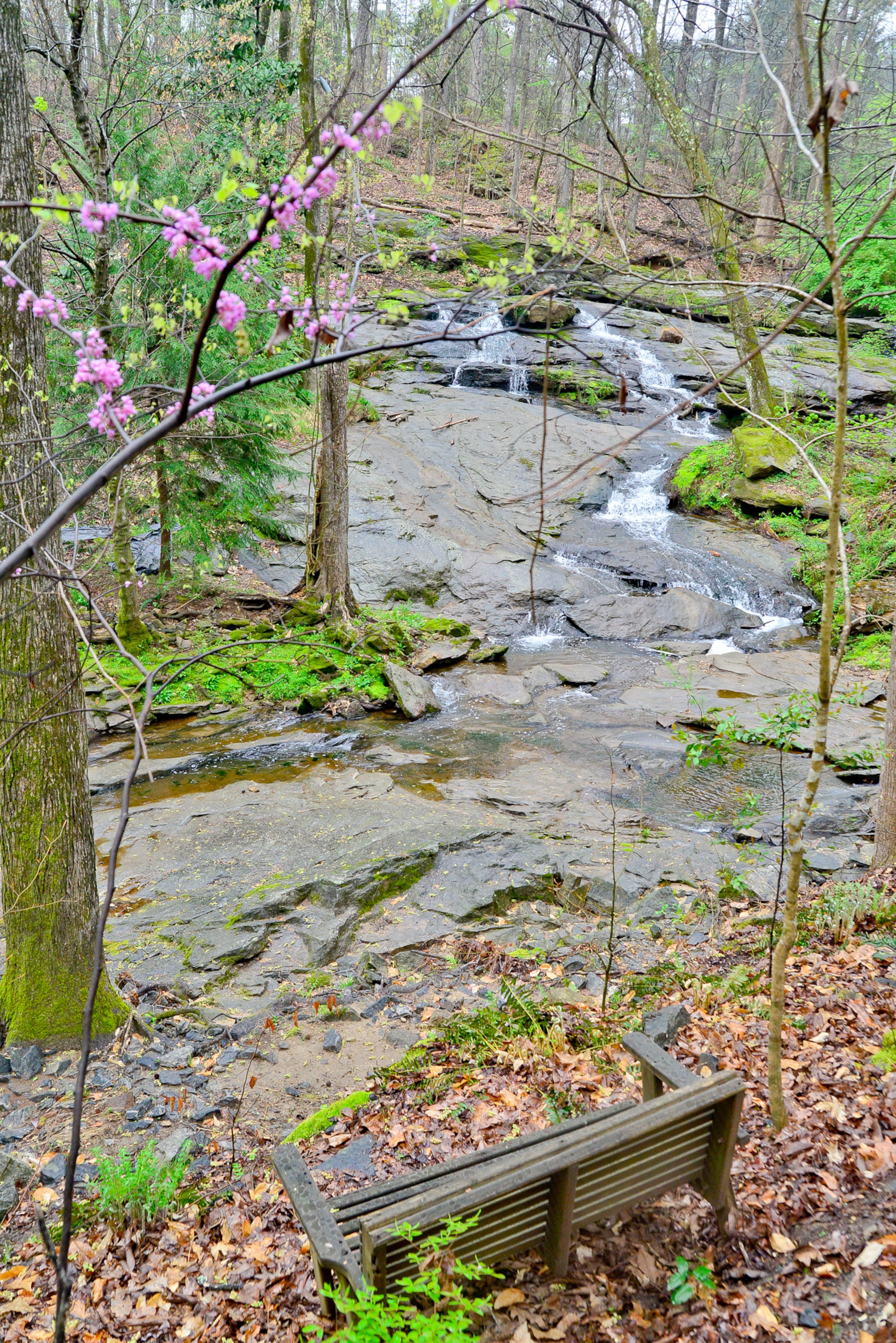 Throughout the 5-acre property, there are places to stop and sit to admire the waterfall view. Dan and Mary Emma McConaughey, who purchased the former grist mill property in 1965, hold a conservation easement from the Georgia-Alabama Land Trust, which will protect the land from future development.