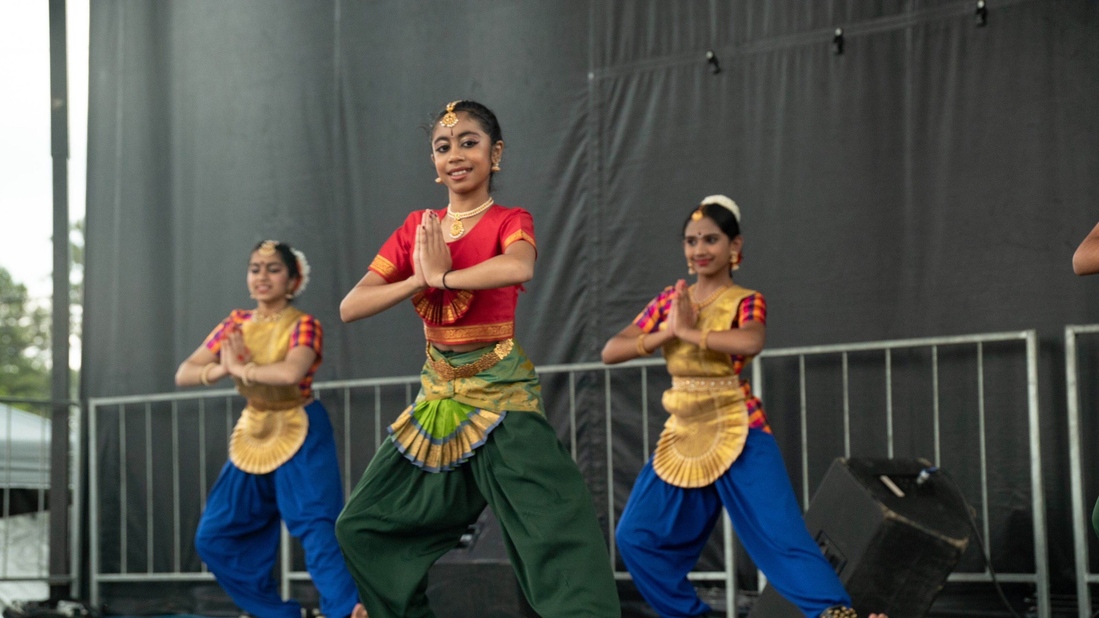 Johns Creek recently appointed nine citizens to serve on the Arts, Culture and Entertainment Committee. (Courtesy City of Johns Creek)