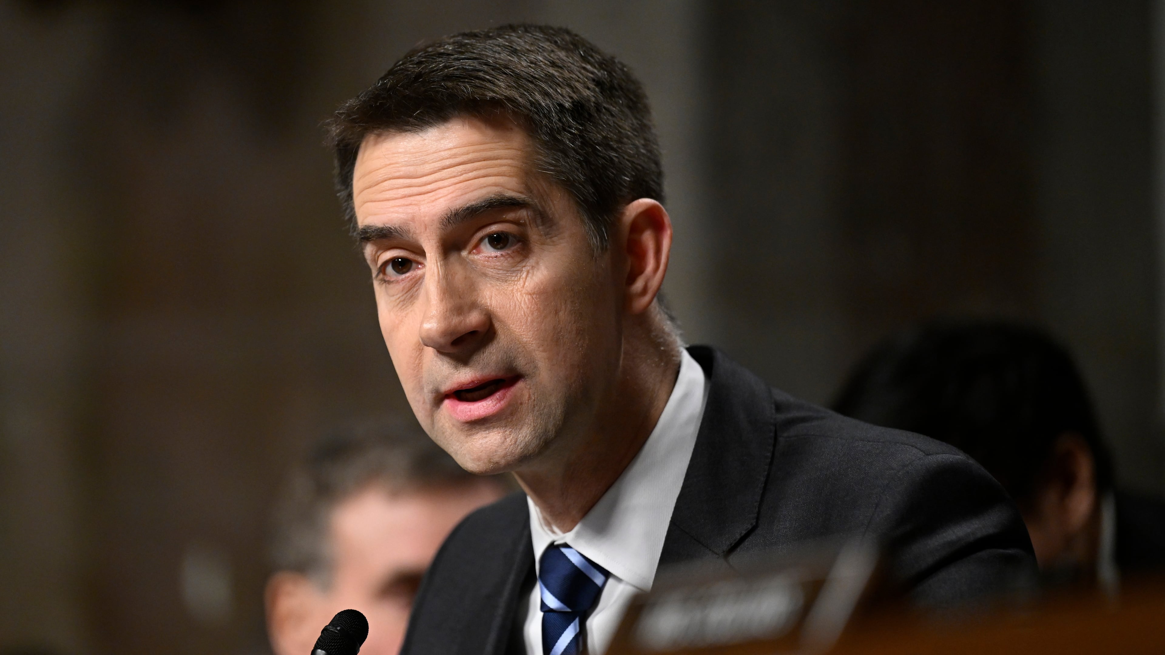 FILE - Chairman of the Senate Intelligence Committee Sen. Tom Cotton, R-Ark., speaks during a Senate Intelligence Committee hearing, at the Capitol in Washington, Jan. 15, 2025. (AP Photo/John McDonnell, File)