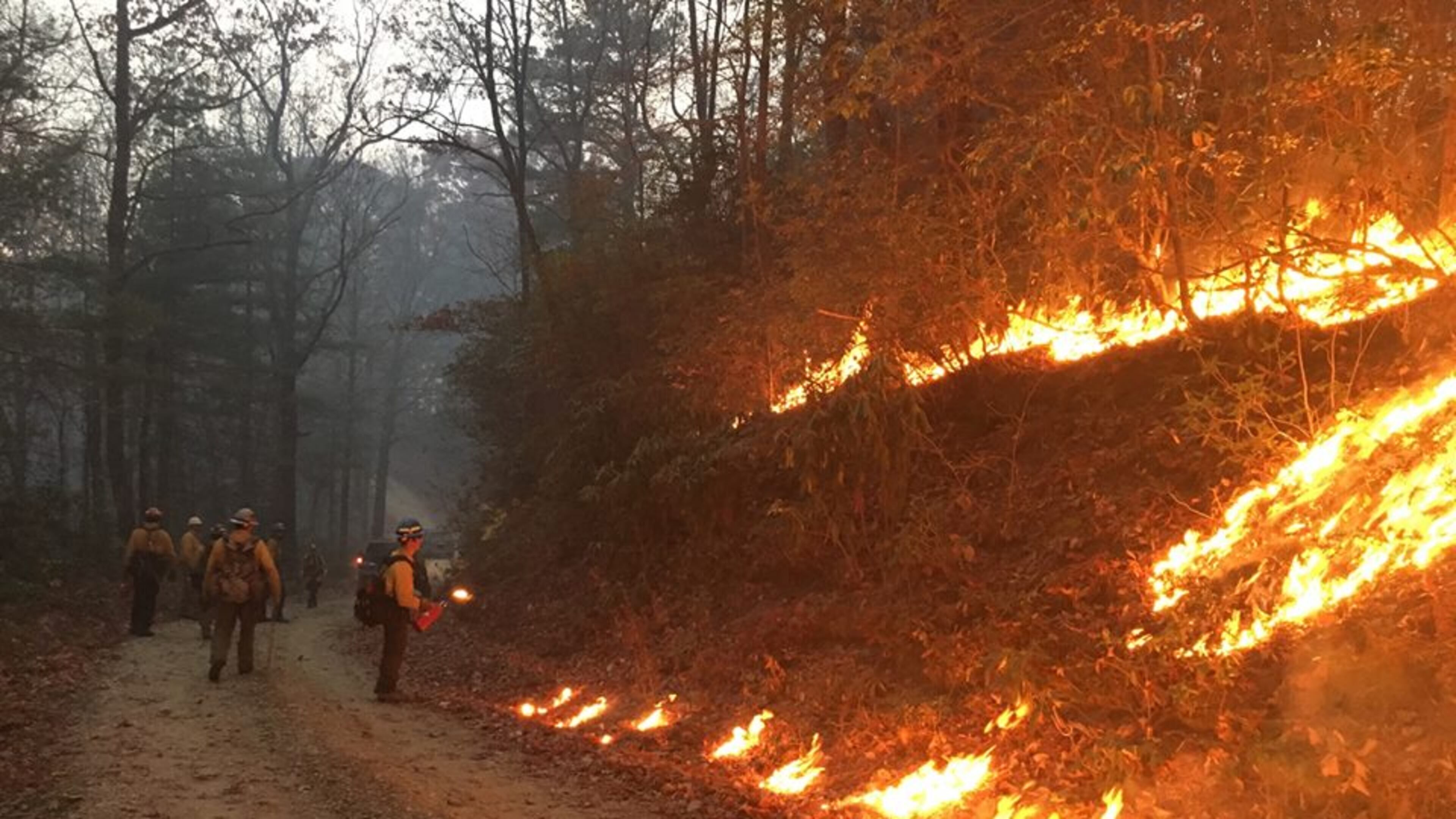 U.S. Forest Service crews are battling the Rock Mountain fire in North Georgia. (Credit: U.S. Forest Service)