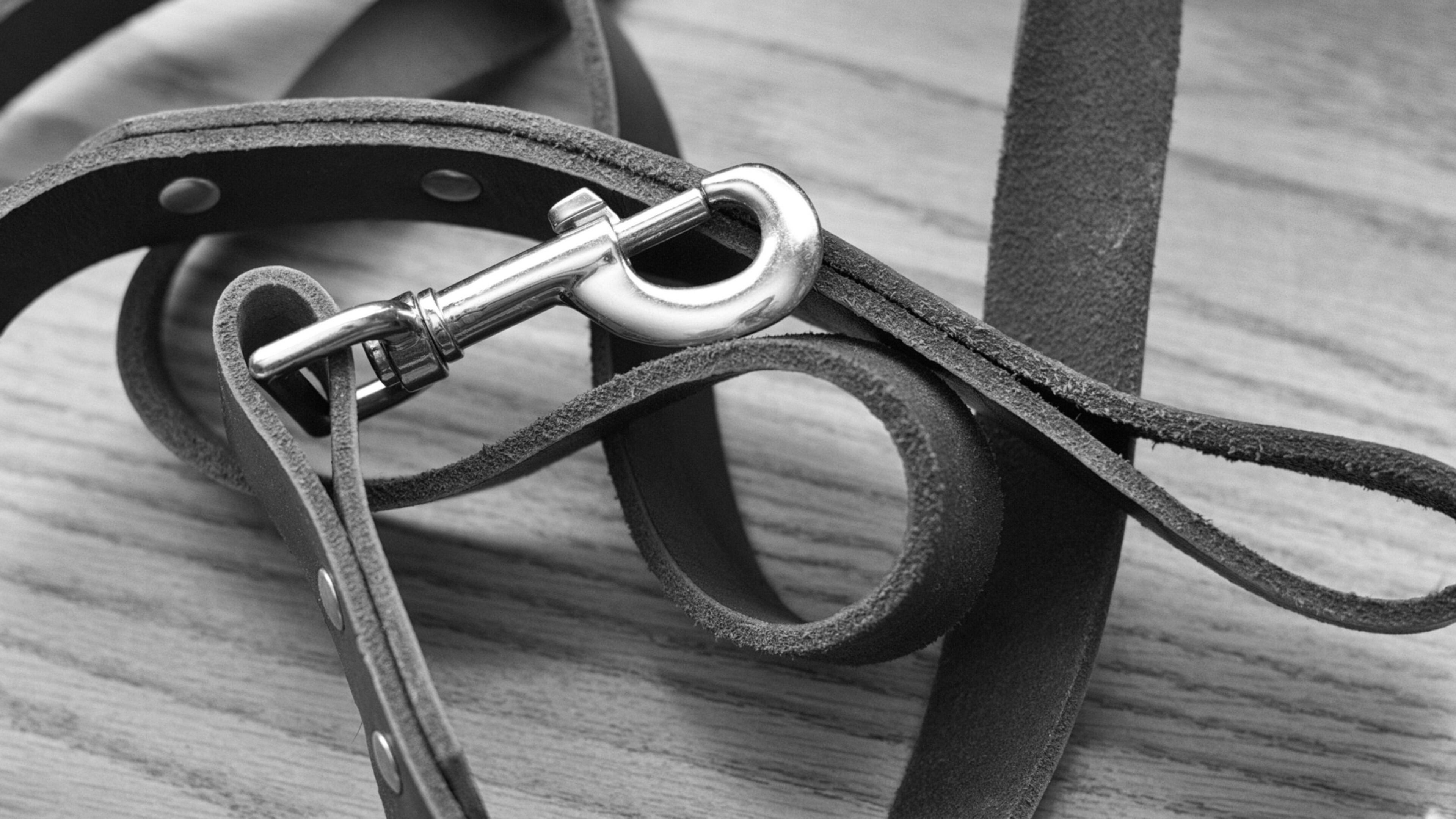 Dog leash. (Photo: Alan Levine/flickr/Creative Commons) https://creativecommons.org/publicdomain/zero/1.0/