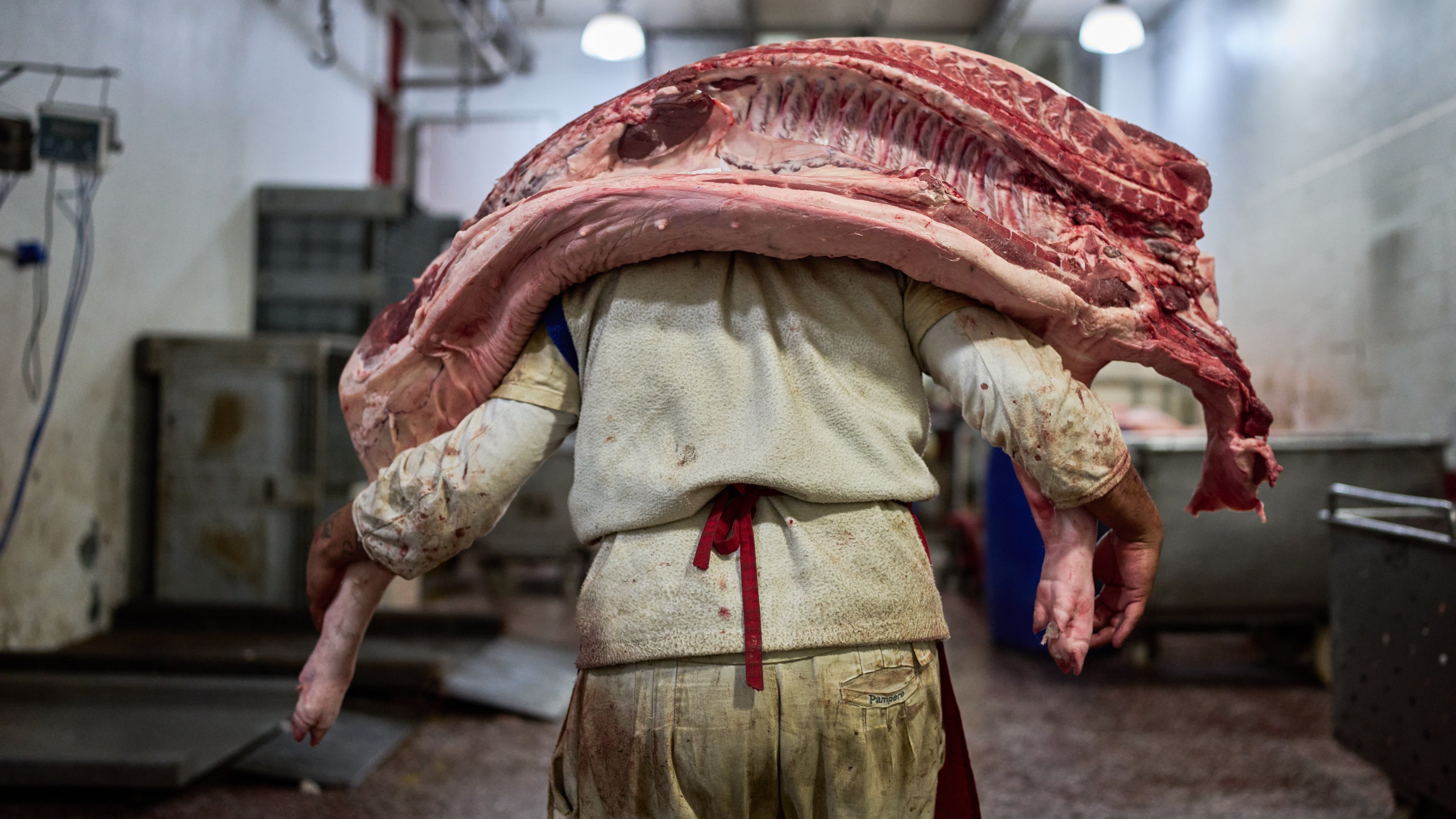 A worker carries pork inside a butcher shop at the Mataderos meat market in Buenos Aires, Argentina, Thursday, May 14, 2026. (AP Photo/Rodrigo Abd)