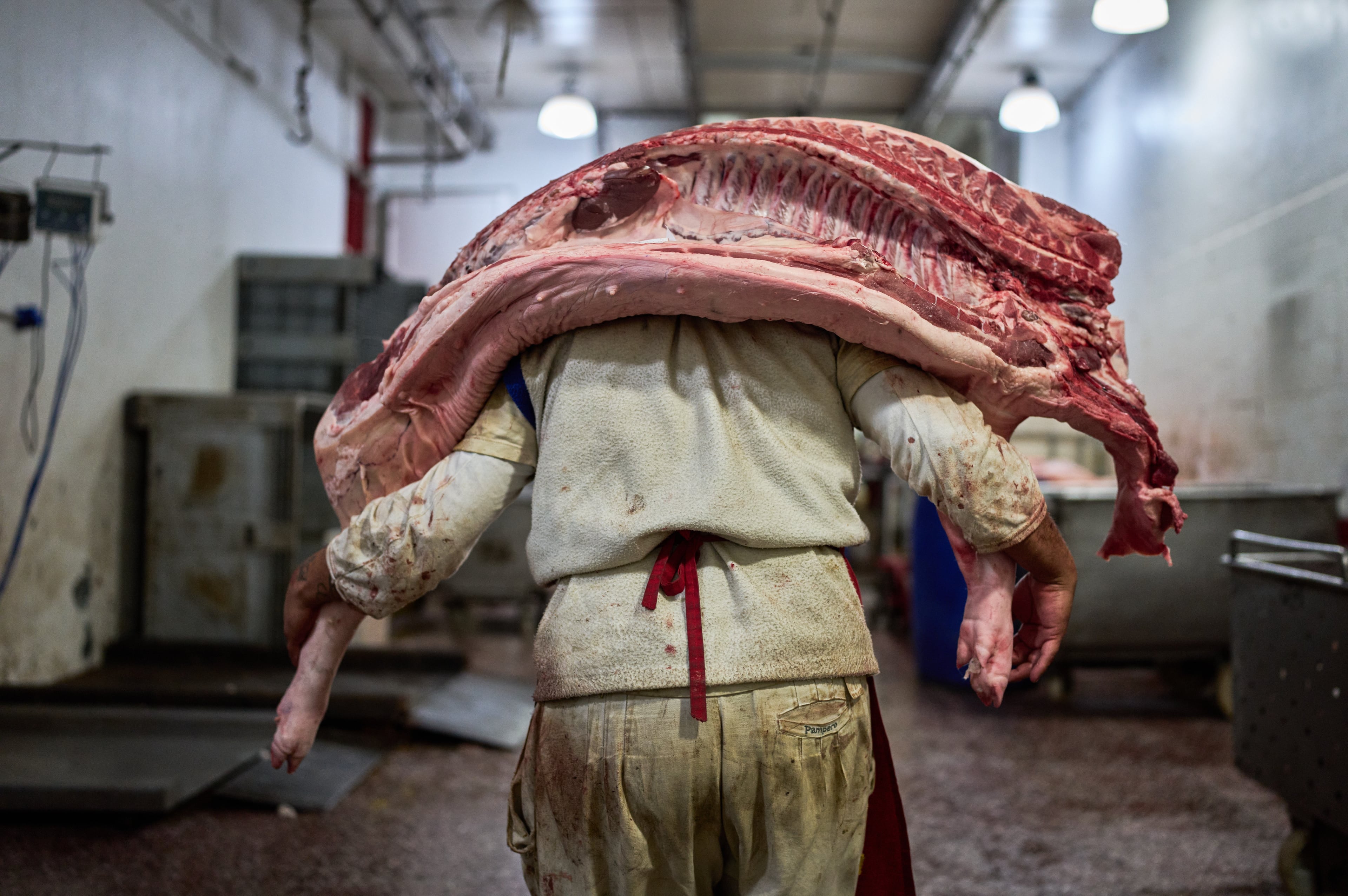 Argentina Meat