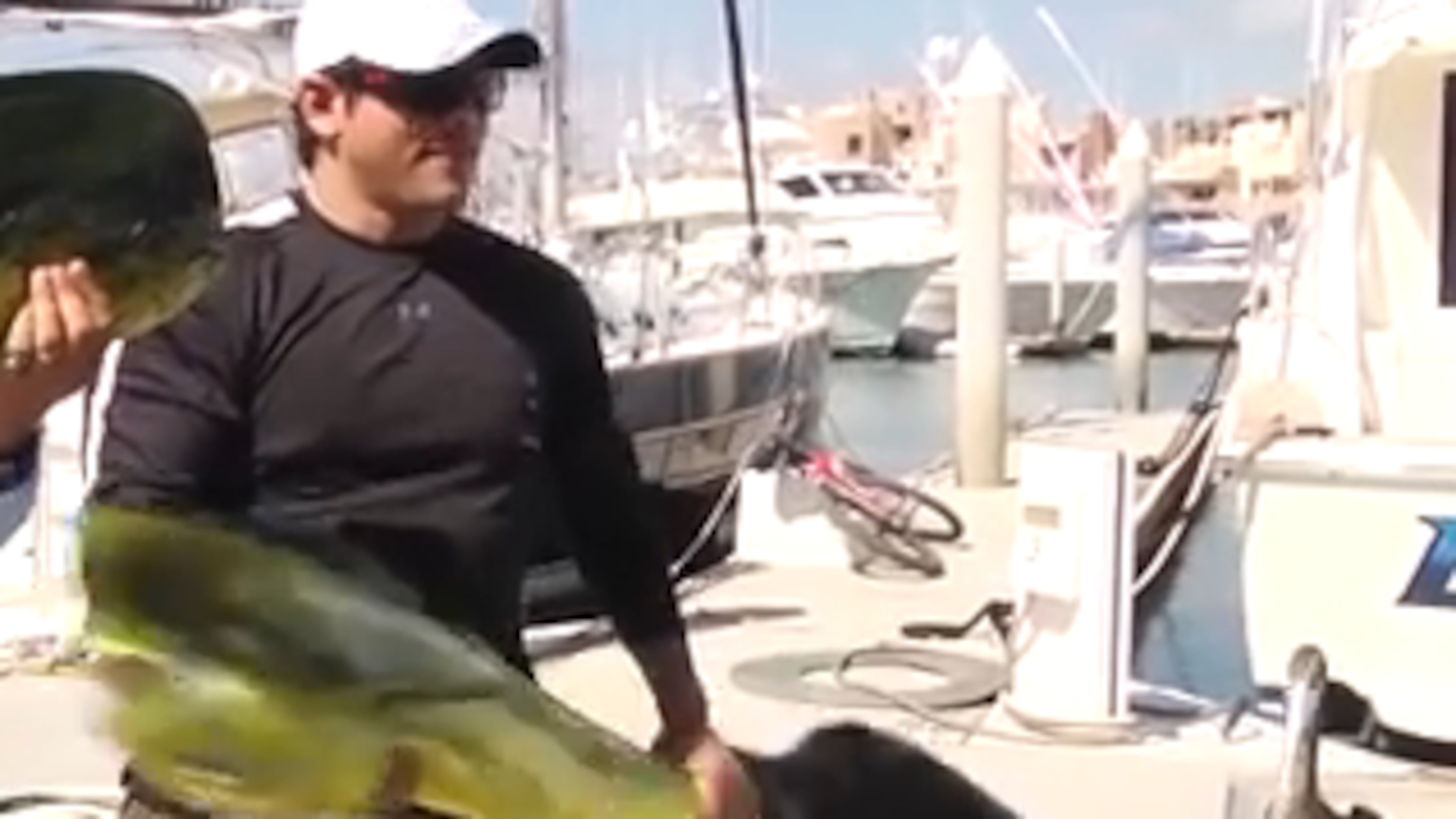 Cheating: It's not just for humans.