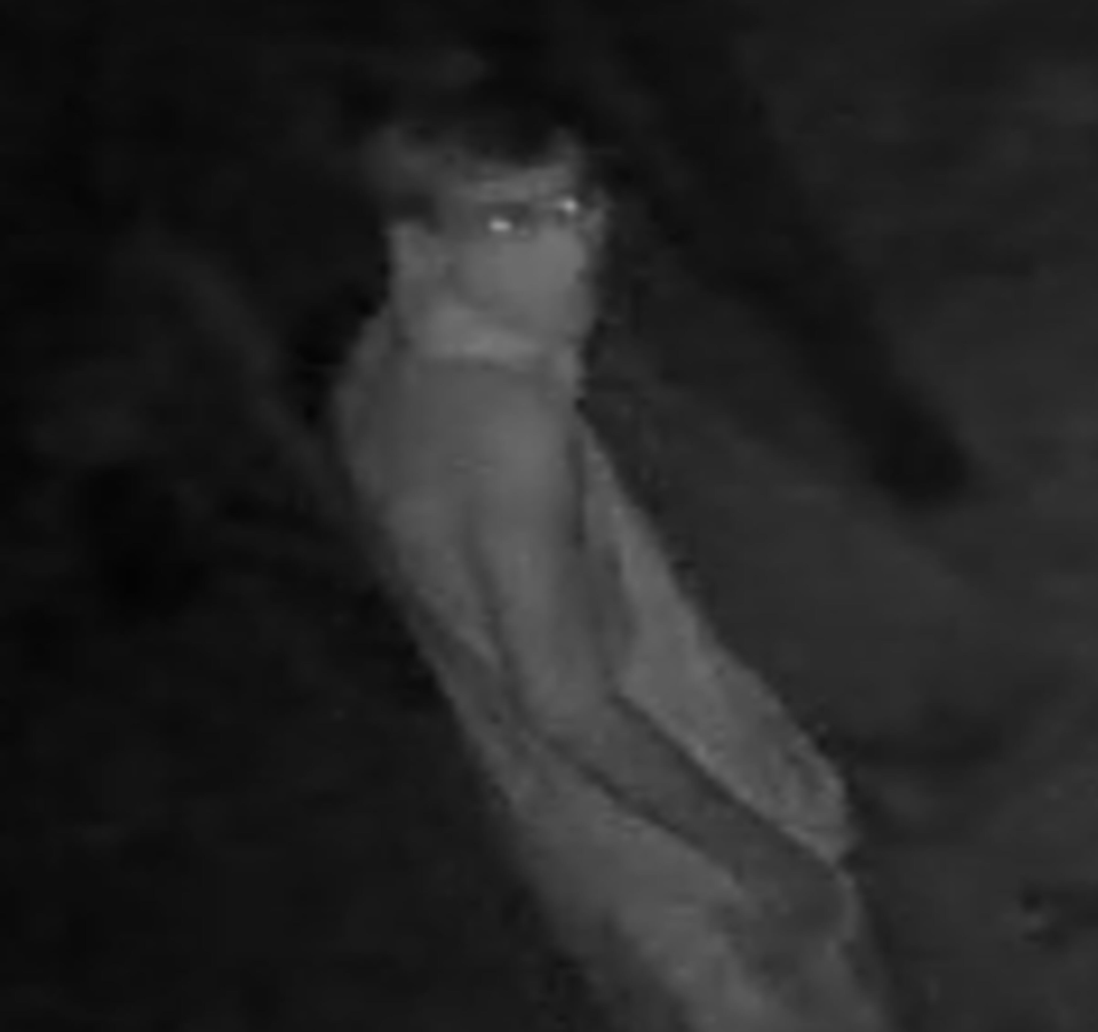Canton police are seeking the man in this surveillance photo in connection with the theft of a federal agent’s vest. (Credit: Canton Police Department)