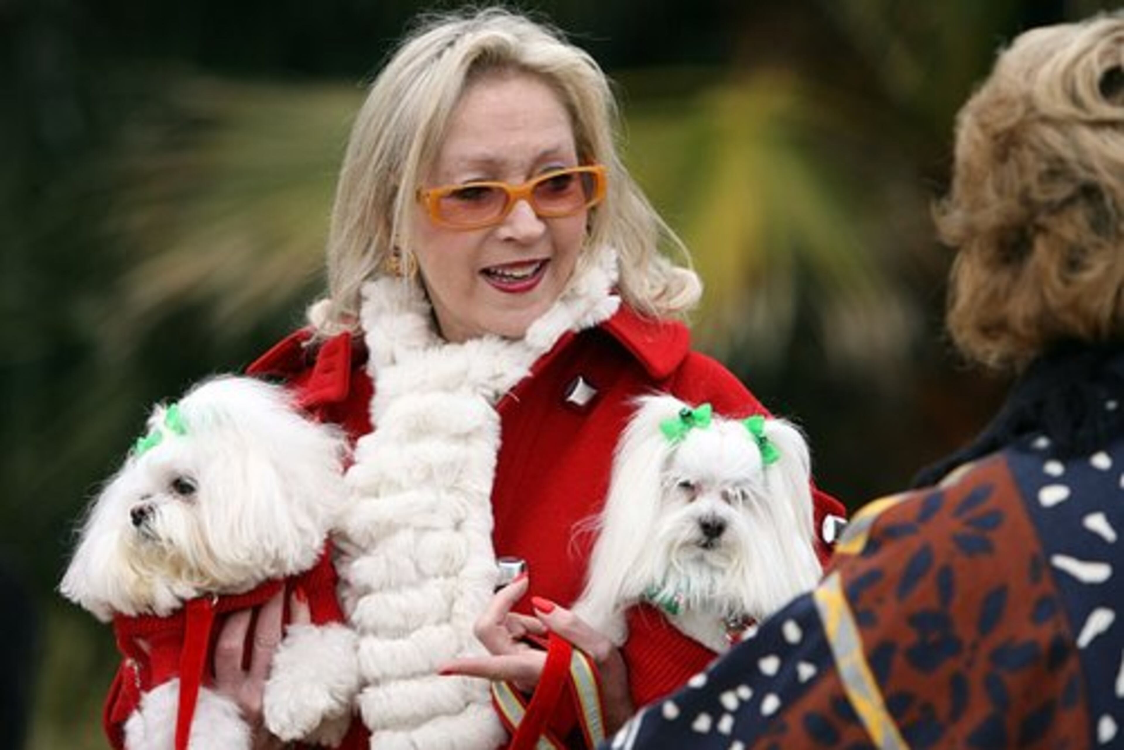 Atlanta Botanical Garden volunteer Diedra Gordon, right, greets parade participant Amanda Olmstead and her pups Angel Baby, left, and Dee Dee.