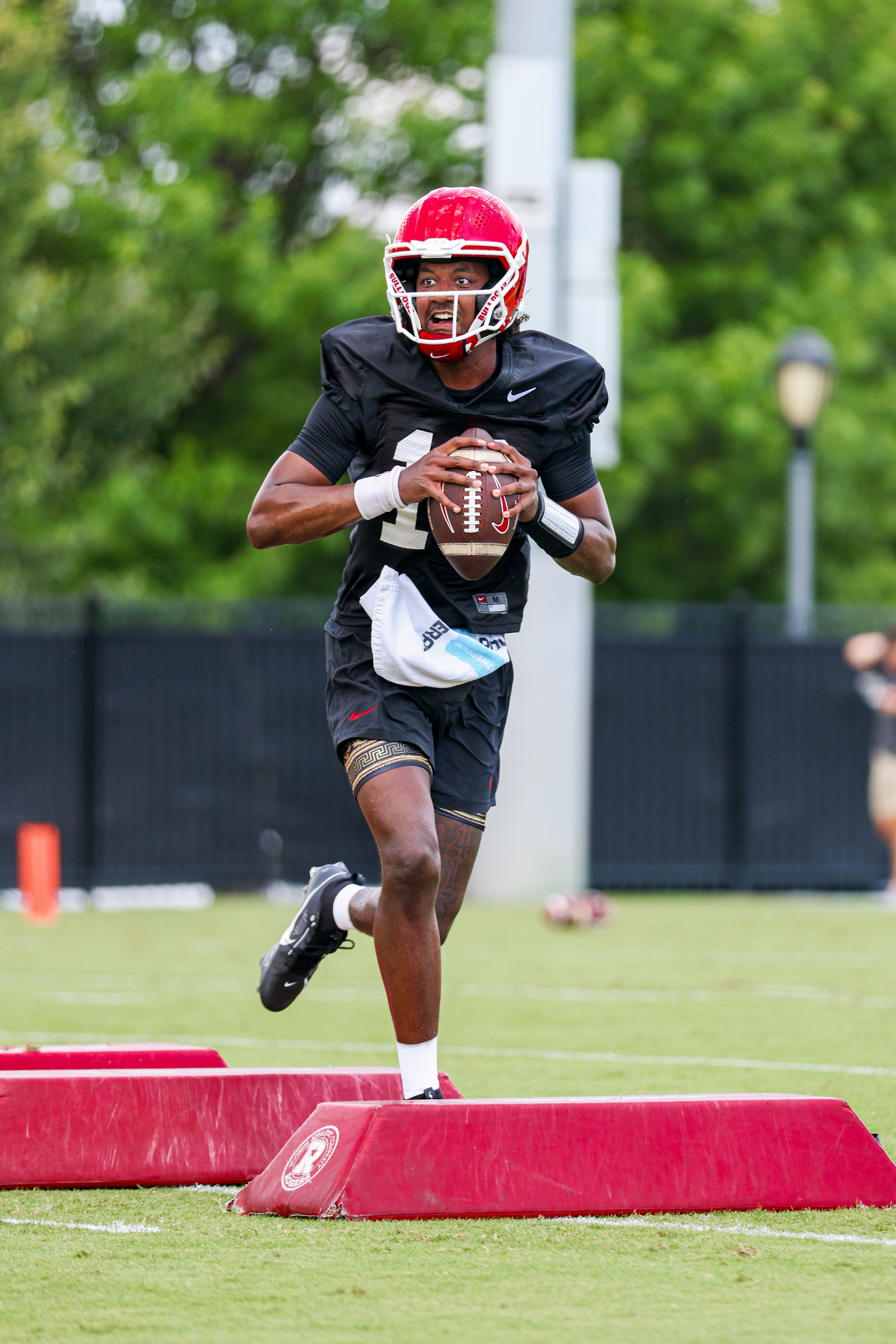 Georgia quarterback Jaden Rashada looks to uncork a pass (Conor Dillon/UGAAA)