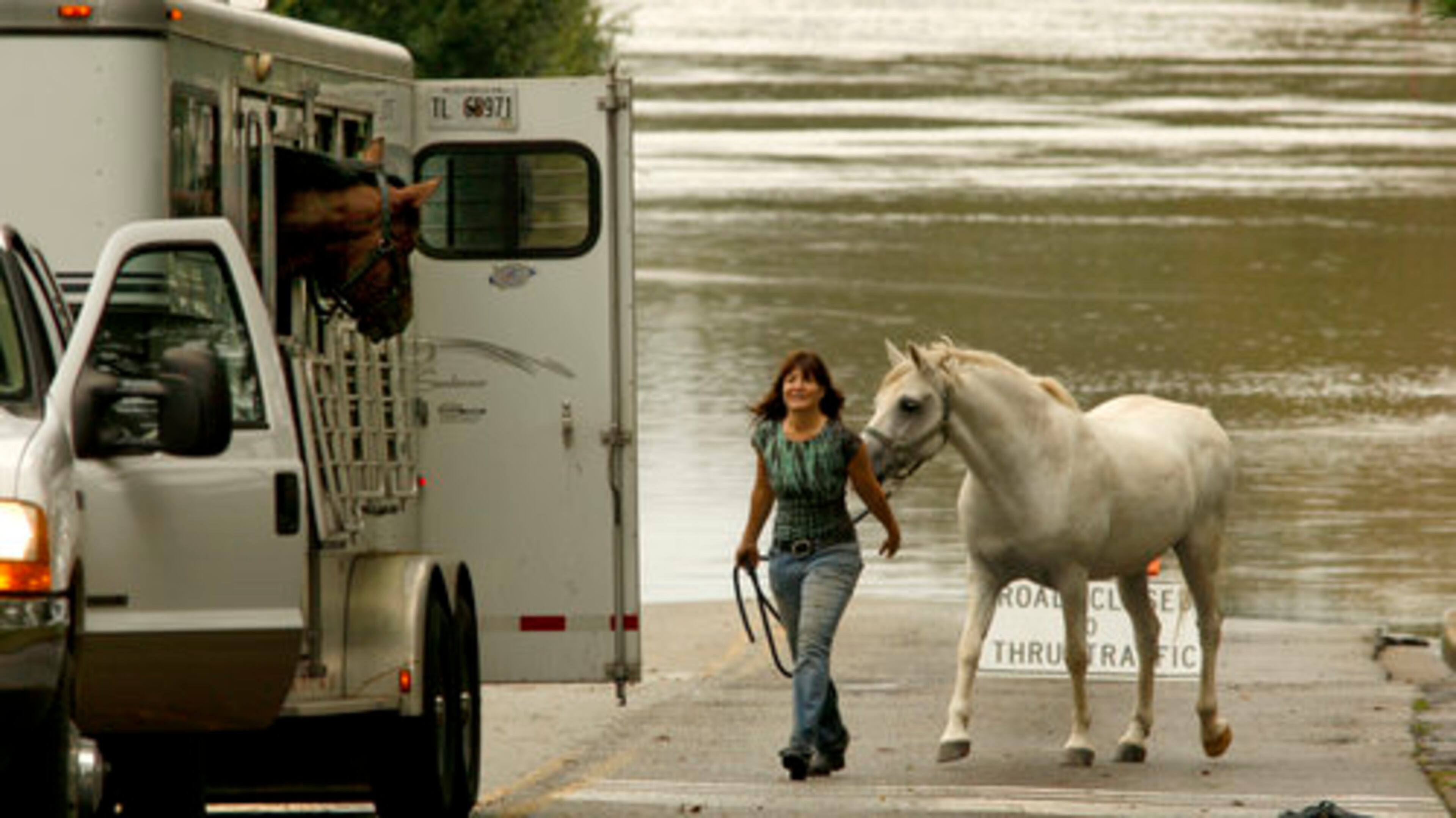 Fran Alexay of West Creek Stables at 2451 Perkerson Mills in Austell moves a Welsh Pony into a nearby trailer as she and her other stable hands moved 15 of their 33 horses to the Conyers Horse Park Monday as Sweetwater Creek threatened their stables.