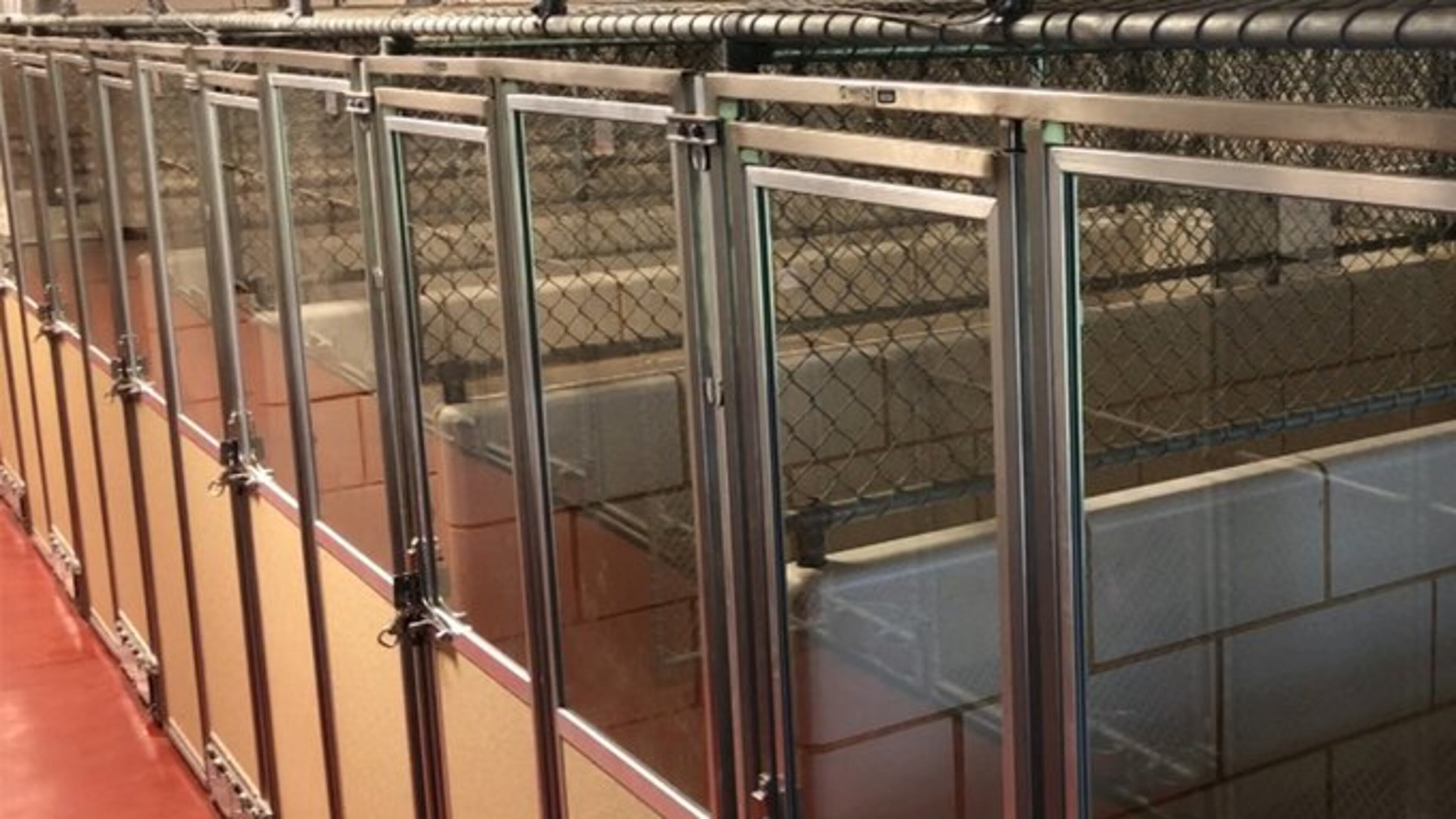 Cobb County’s animal shelter was closed Wednesday after at least two dogs died of a highly contagious bacterial infection.