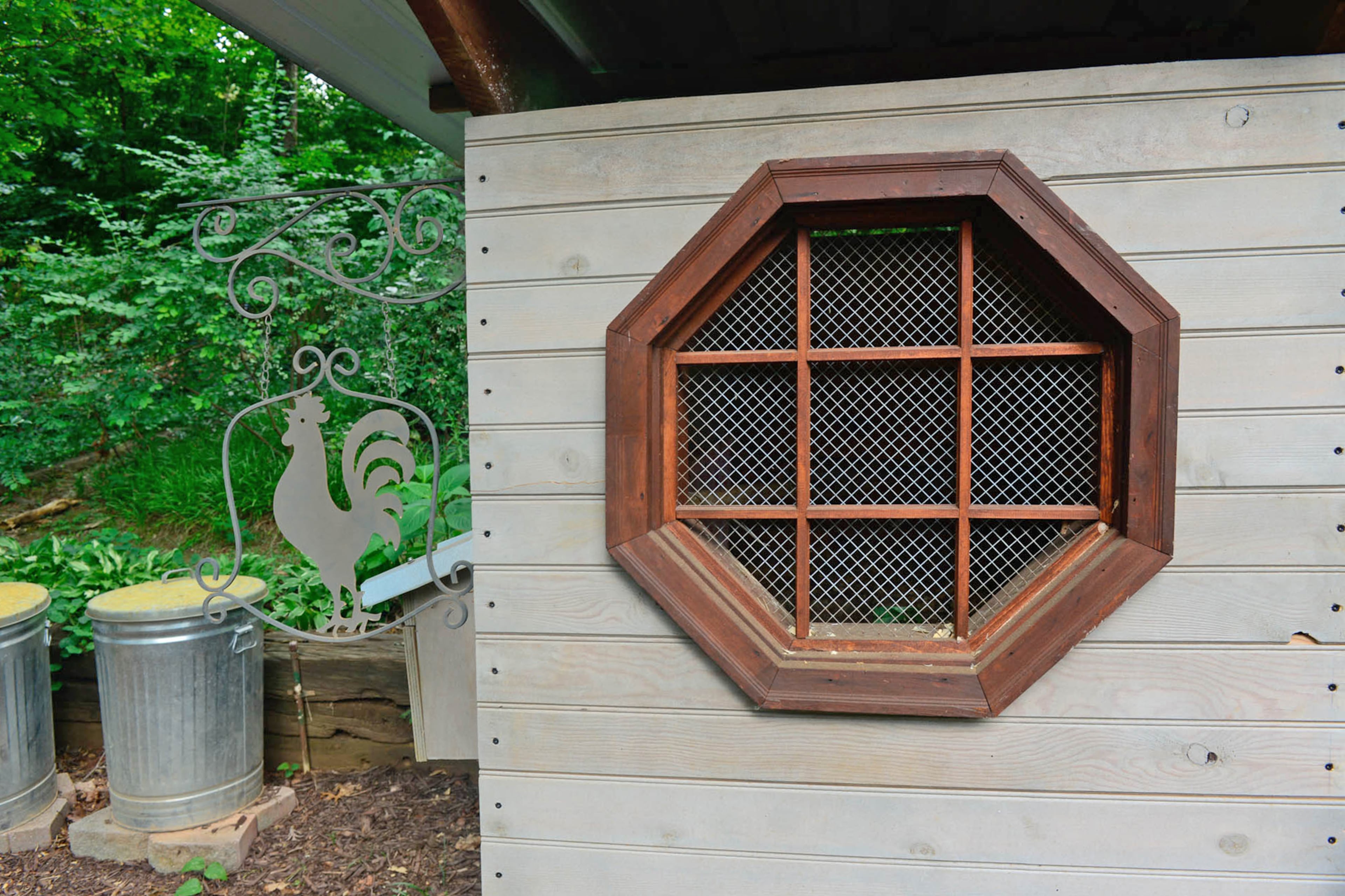 A rooster decoration hangs from the chicken coop in author Jackson Pearce's Decatur backyard.