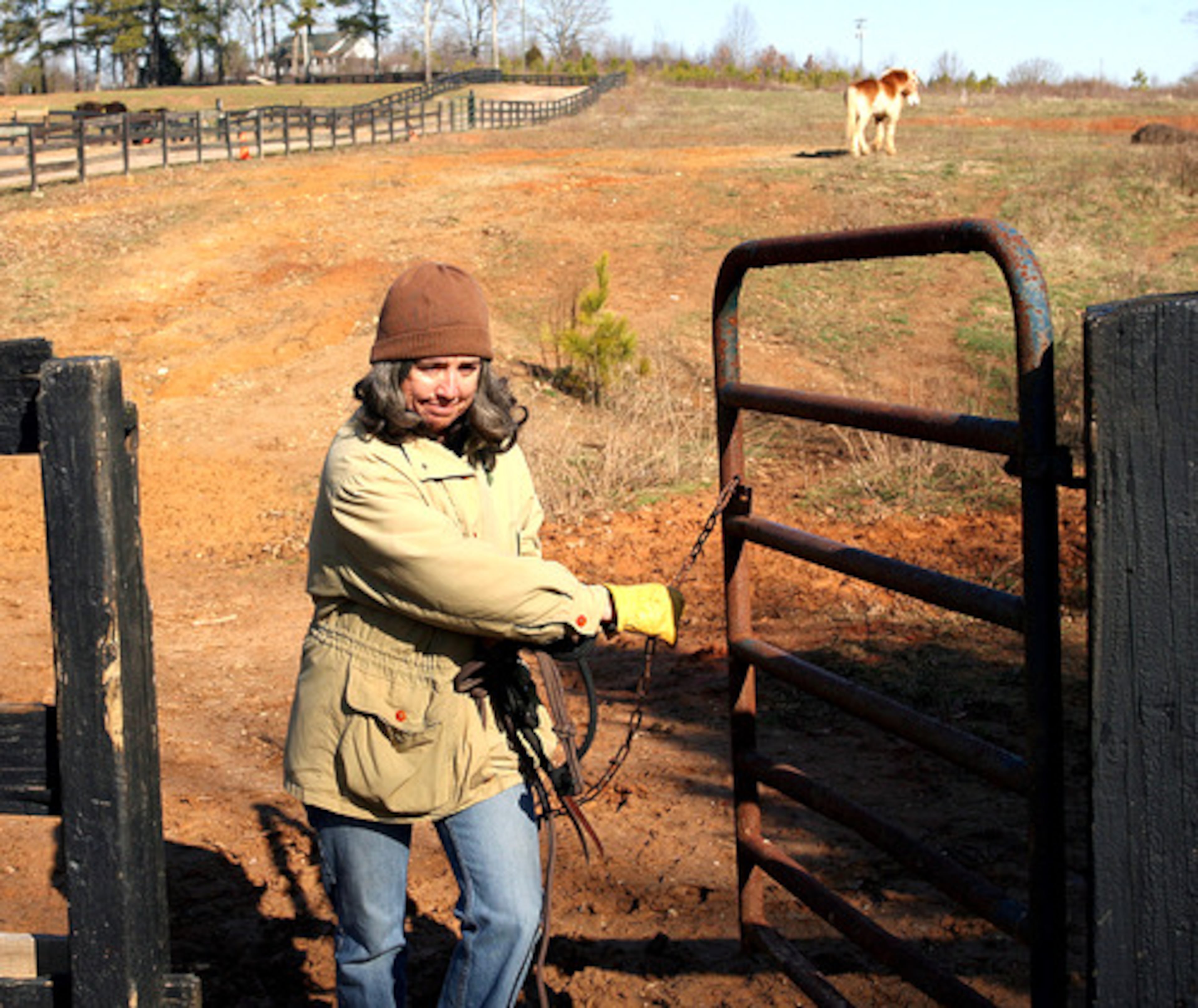 Although fees vary, horse owners say it's common to pay about $650 to $1,200 a month to board a horse or $8,000 a year to start. ' Save The Horses' volunteer Fredrika Stillwater closes the gate after letting "Roy" out to pasture.