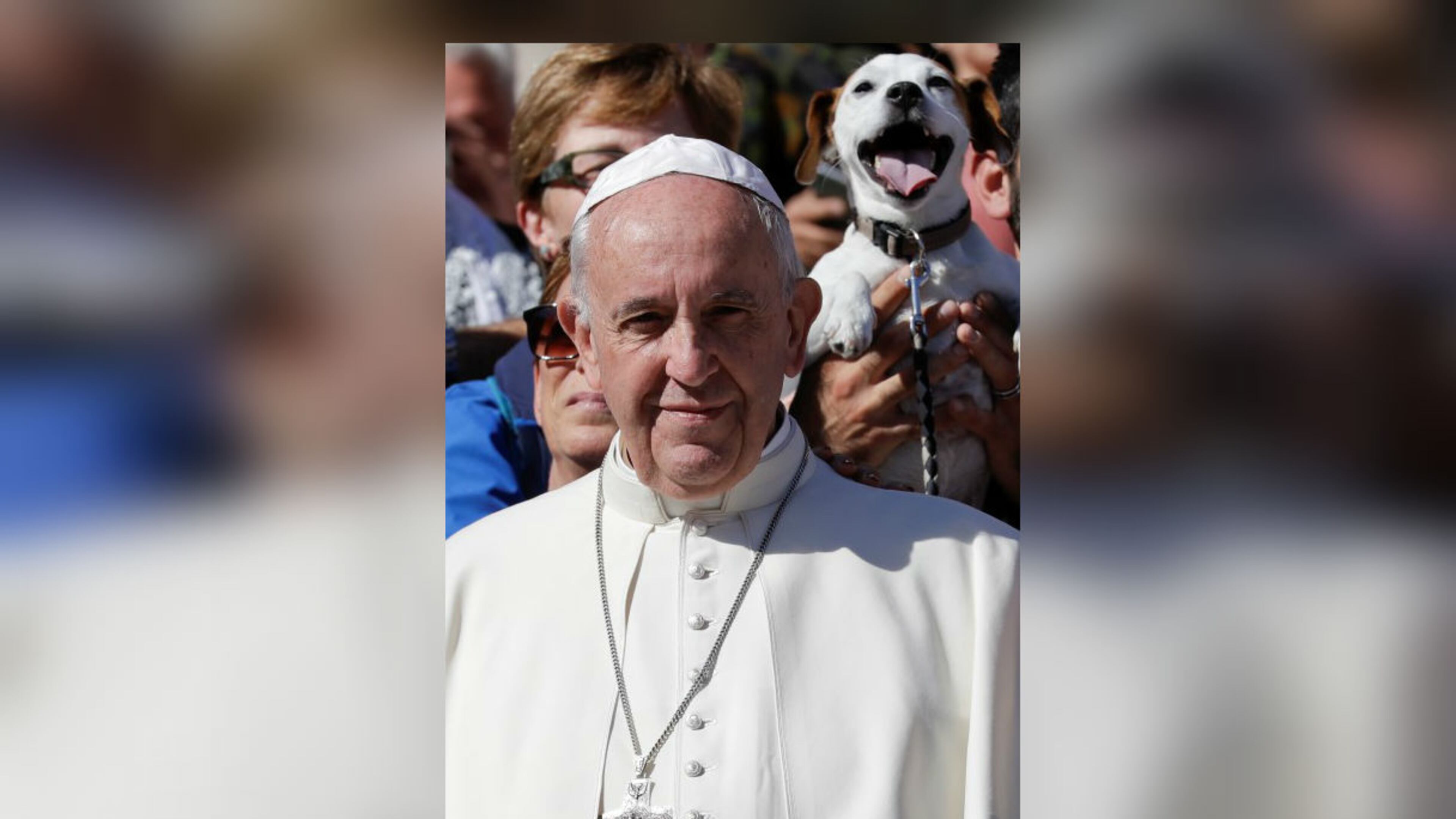 Pope Francis poses for photographers with a group of dog trainers, during his weekly general audience, in St. Peter's Square, at the Vatican, Wednesday, Oct. 5, 2016. (AP Photo/Andrew Medichini)