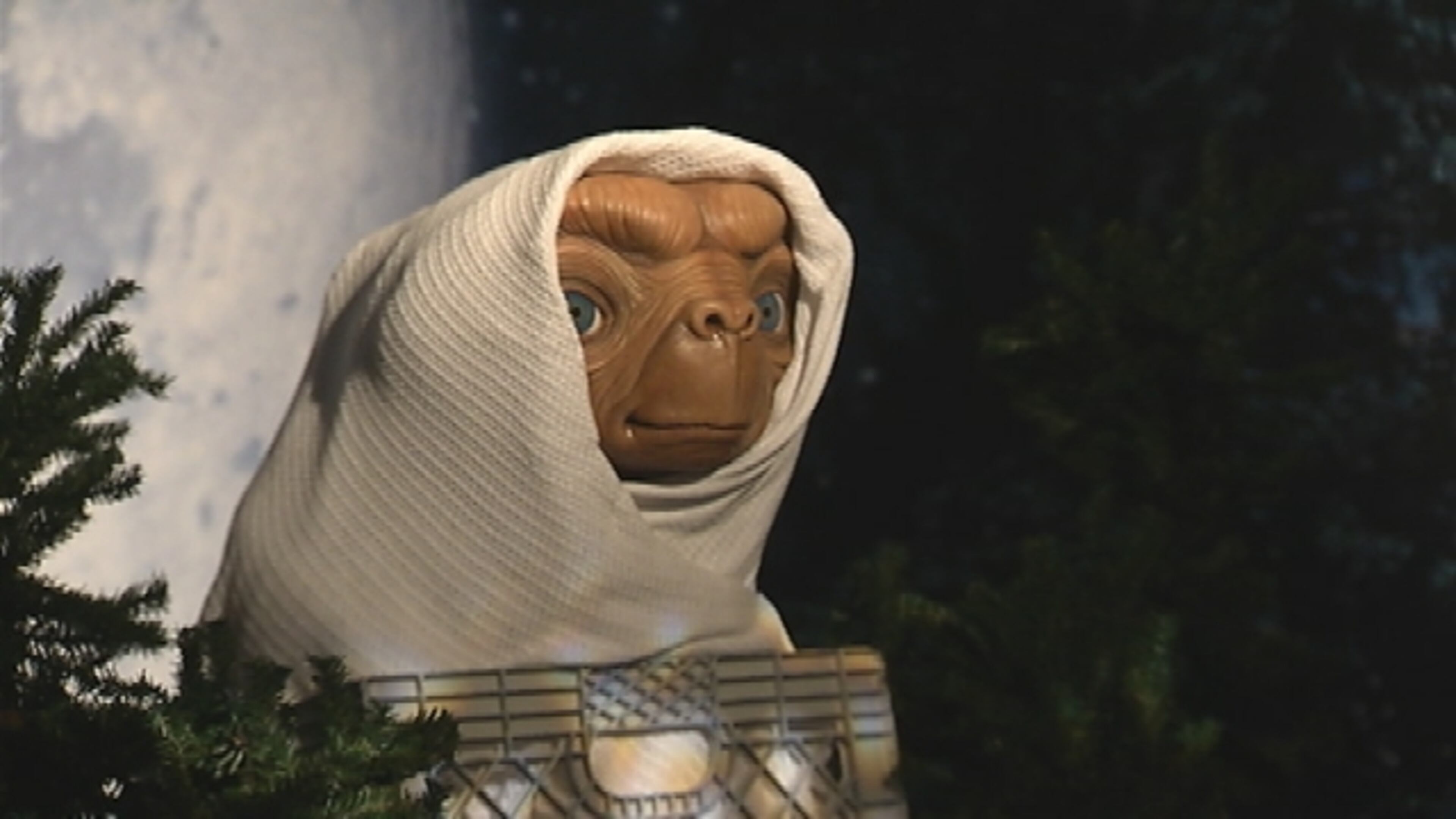 A brand new attraction at Madame Tussauds Orlando will feature lifelike figures representing A-list celebrities, music icons, sport legends and notable figures from history and pop culture. The grand opening is set for May 4.