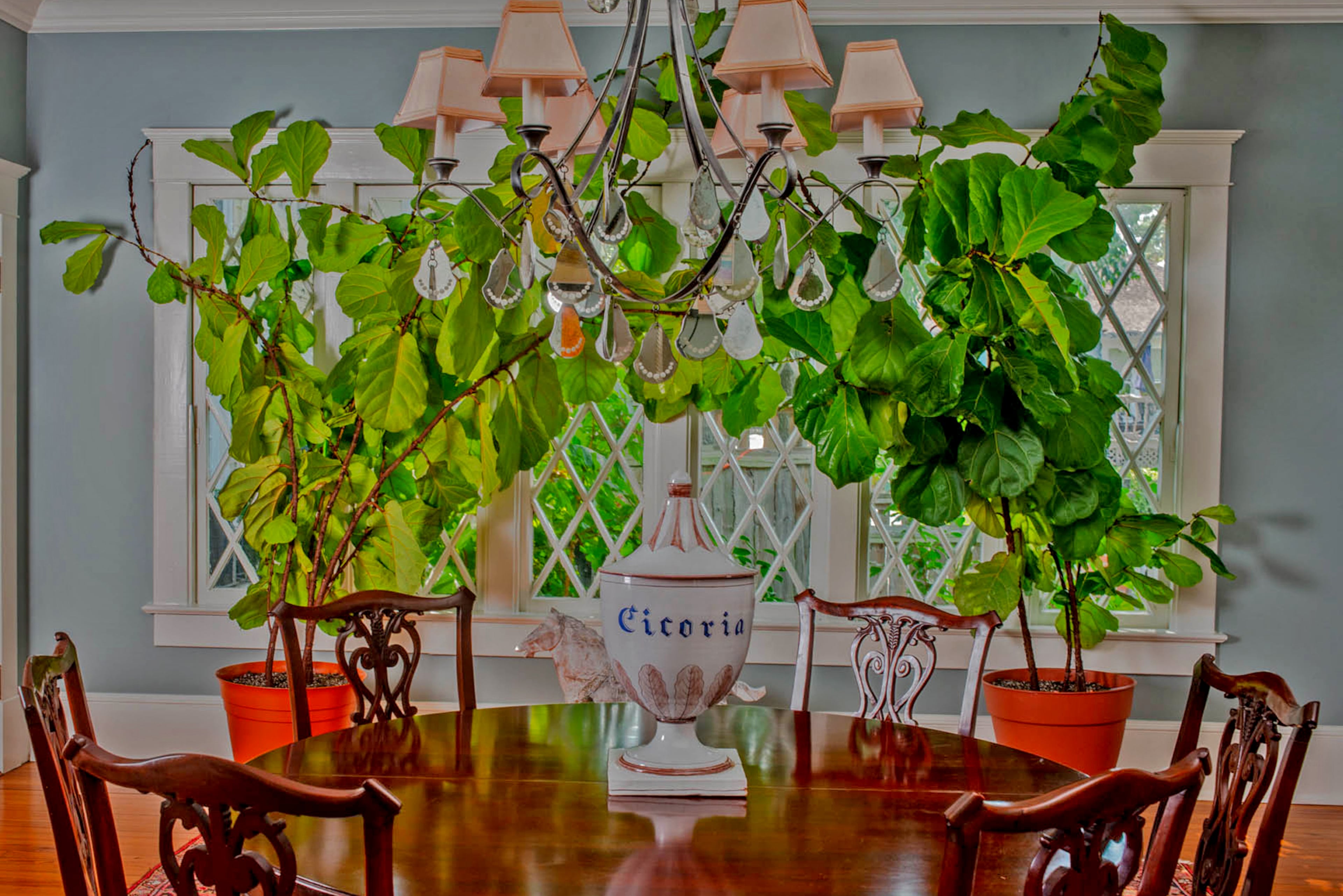 Windows with classic diamond grids, slate blue walls and greenery beckon people into the dining room. The dining room table and chairs are from Bungalow Classic.