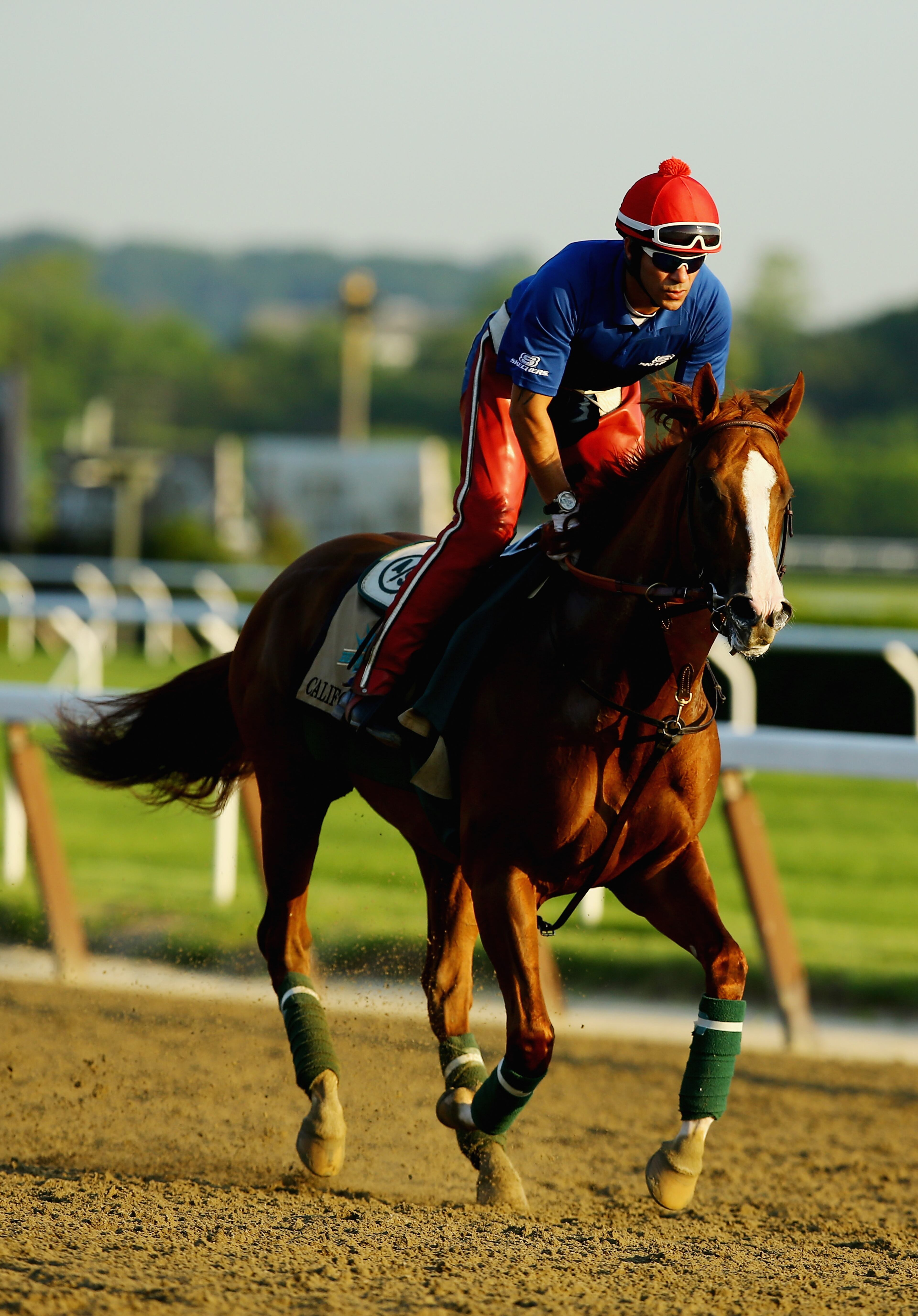 ELMONT, NY - JUNE 03: Kentucky Derby and Preakness winner California Chrome, with exercise rider Willie Delgado up, trains on the main track at Belmont Park on June 3, 2014 in Elmont, New York. He is scheduled to race for the Triple Crown in the 146th running of the Belmont Stakes (Photo by Al Bello/Getty Images)