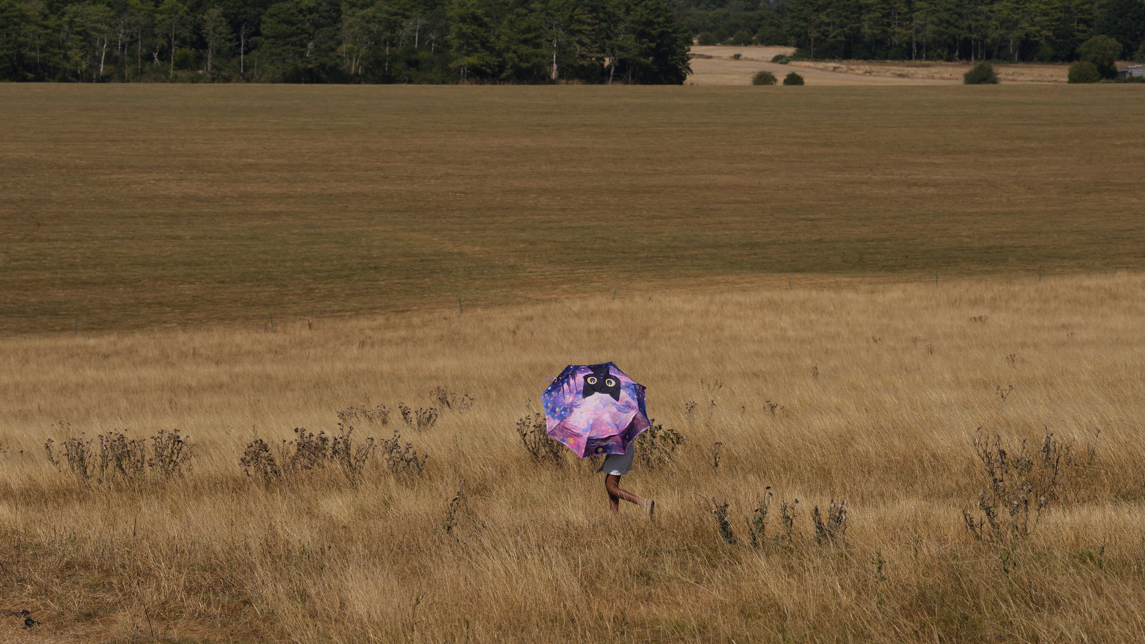 A person holds an umbrella and walks through dry grass at Stonehenge in Wiltshire, England, Thursday, Aug. 13, 2026. (AP Photo/Kin Cheung)