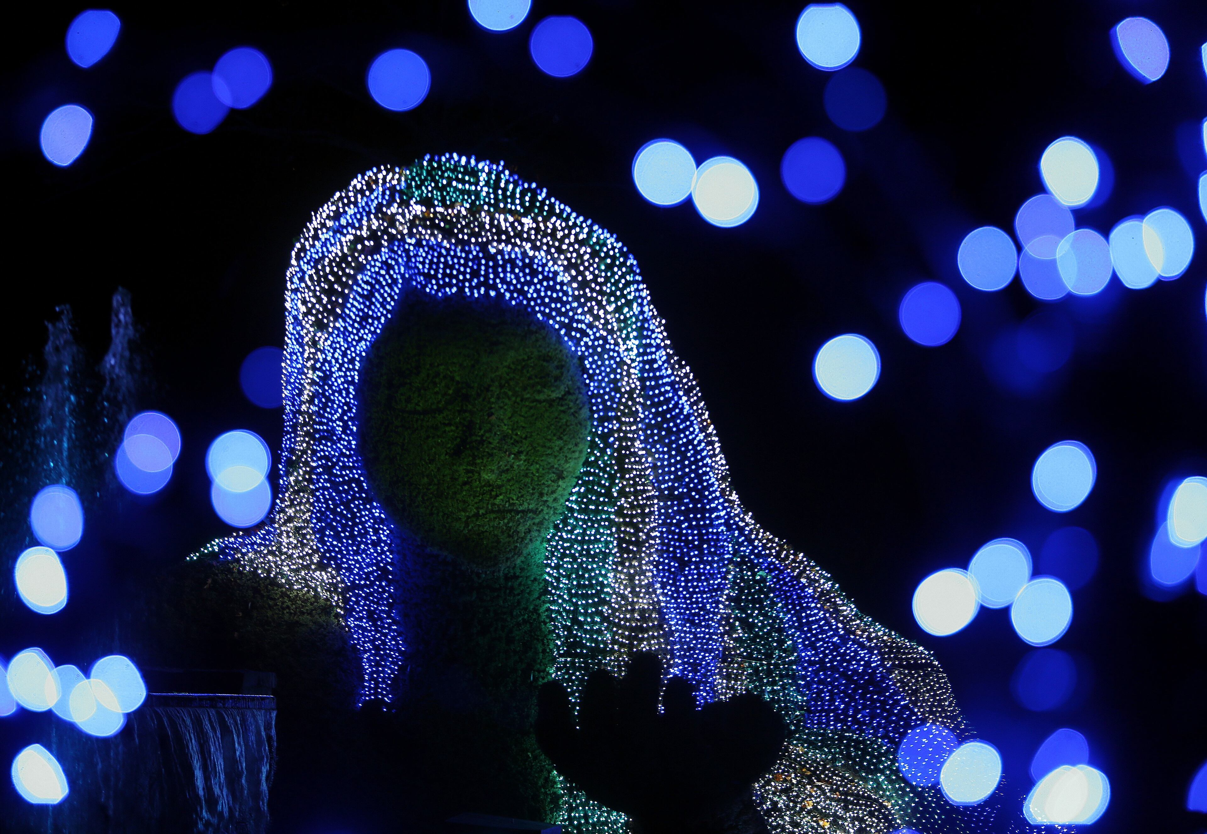 The Ice Goddess takes shape in the Cascades Garden. The big addition this year is that "Earth Goddess," the 30 feet wide by 25 feet tall sculpture from the "Imaginary Worlds" exhibit, will be turned into "Ice Goddess" with LED lights replacing plants. BEN GRAY / BGRAY@AJC.COM