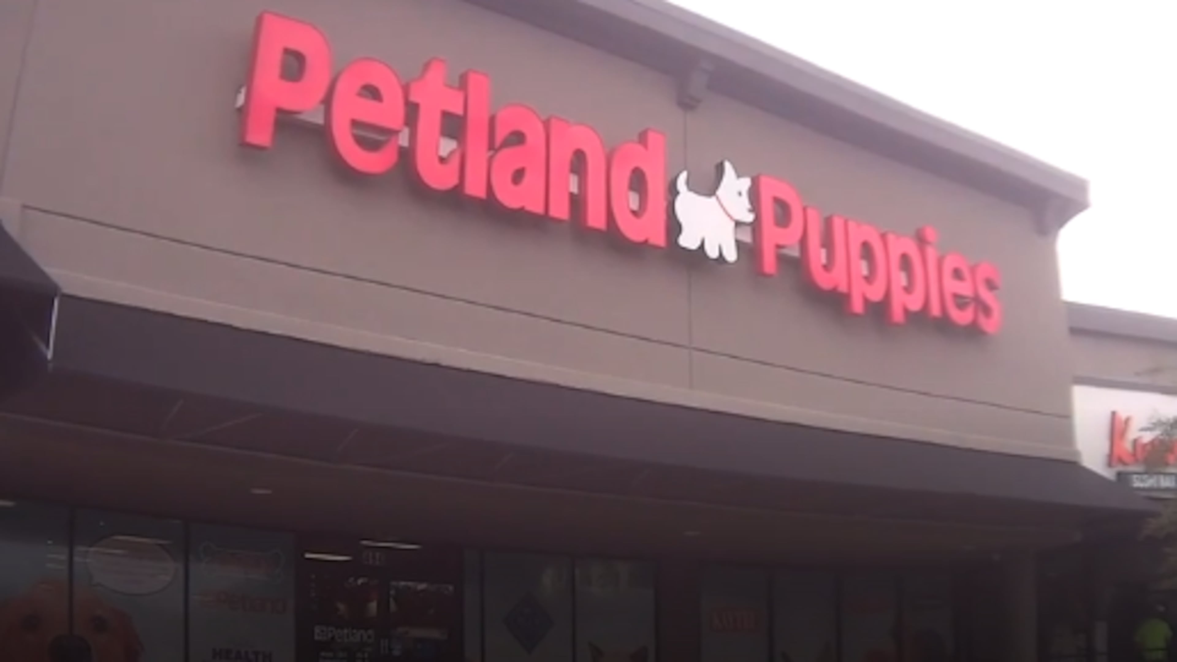 The Petland in Kennesaw was the focus of the Humane Society of the United States’ annual 2018 investigative report.