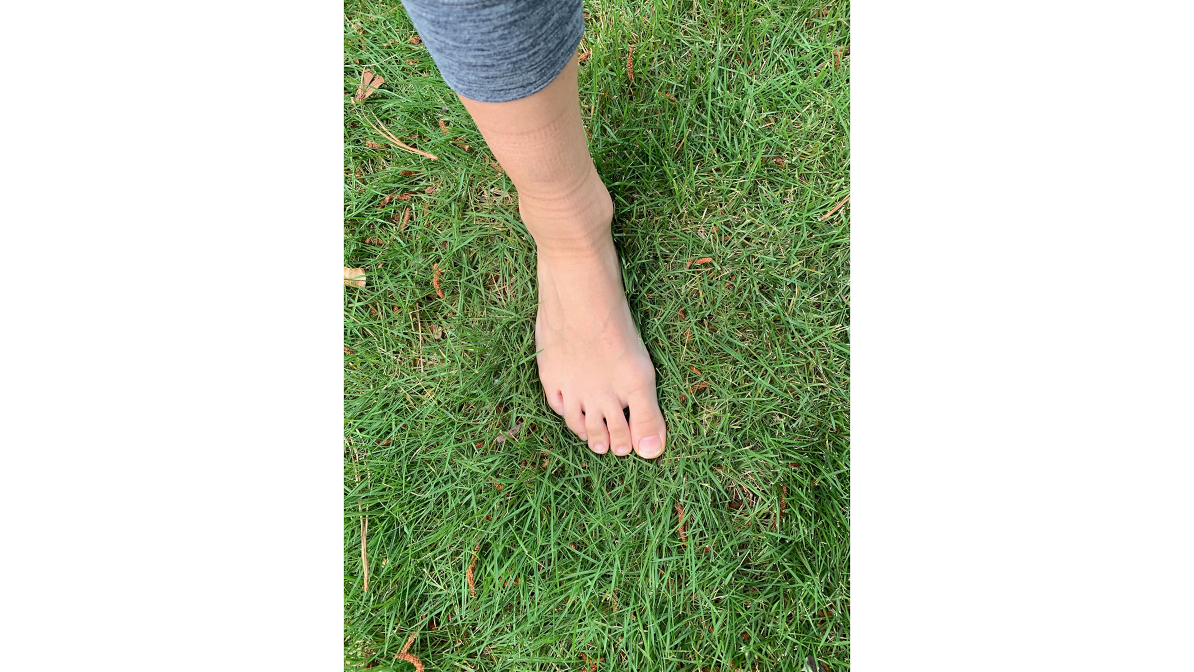 Leaves of Emerald zoysia are quite stiff. Walking on it feels like walking on carpet with padding underneath. Walking on Bermuda grass, on the other hand, feels like walking on carpet with no padding. (Walter Reeves for The Atlanta Journal-Constitution)